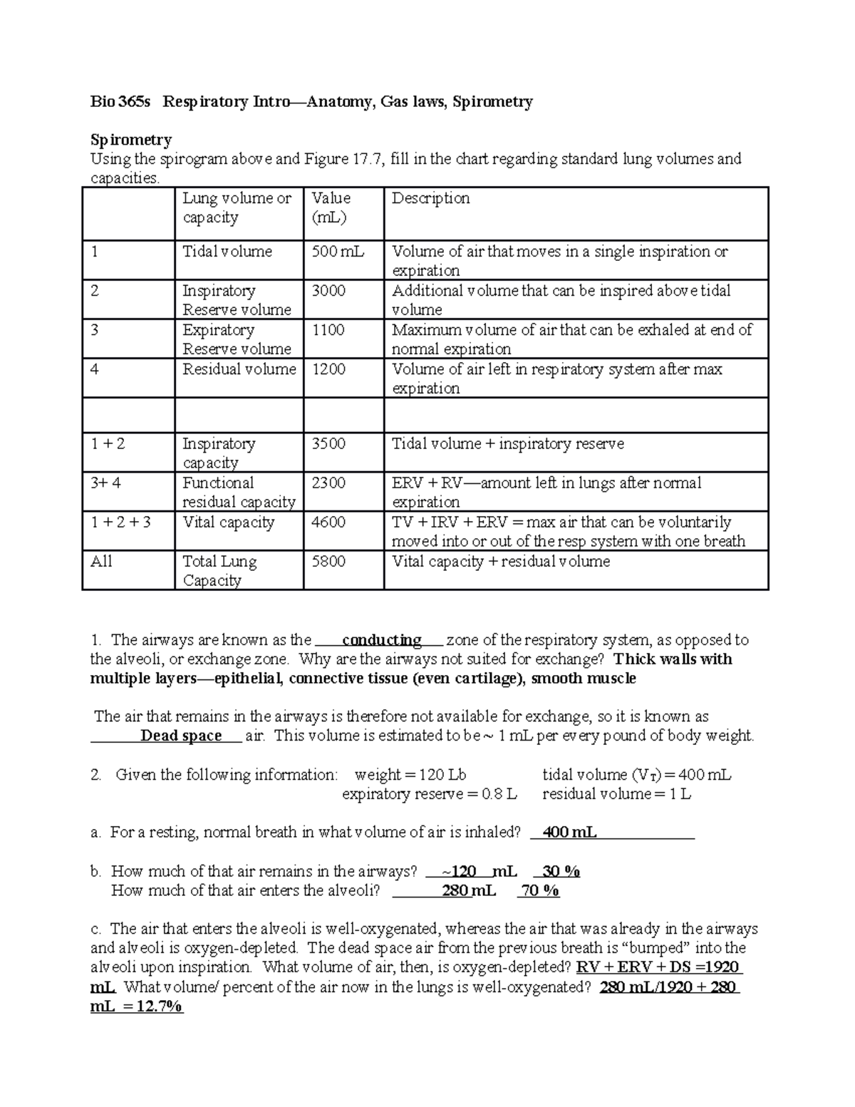 Resp Ex Key SV - BIO 365S - Bio 365s Respiratory Intro—Anatomy, Gas ...