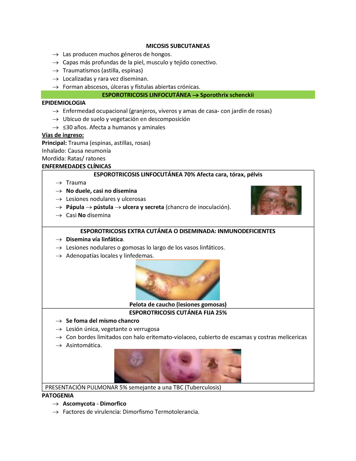 Micosis subcutanea MICOSIS SUBCUTANEAS Las producen muchos gÈneros de hongos Capas ms