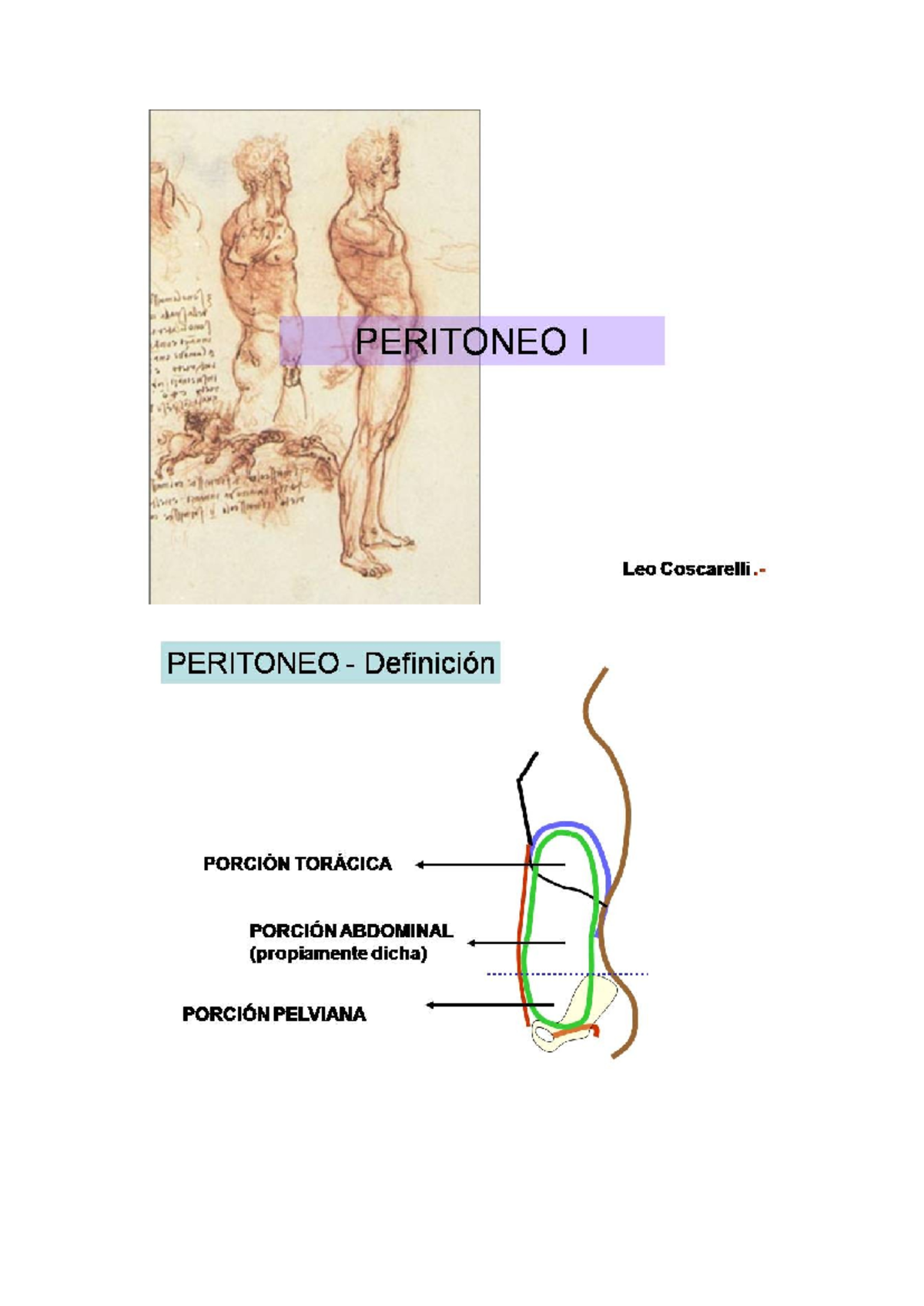 Peritone O - PERITONEO I Leo Coscarelli. PERITONEO Definición PORCIÓN ...
