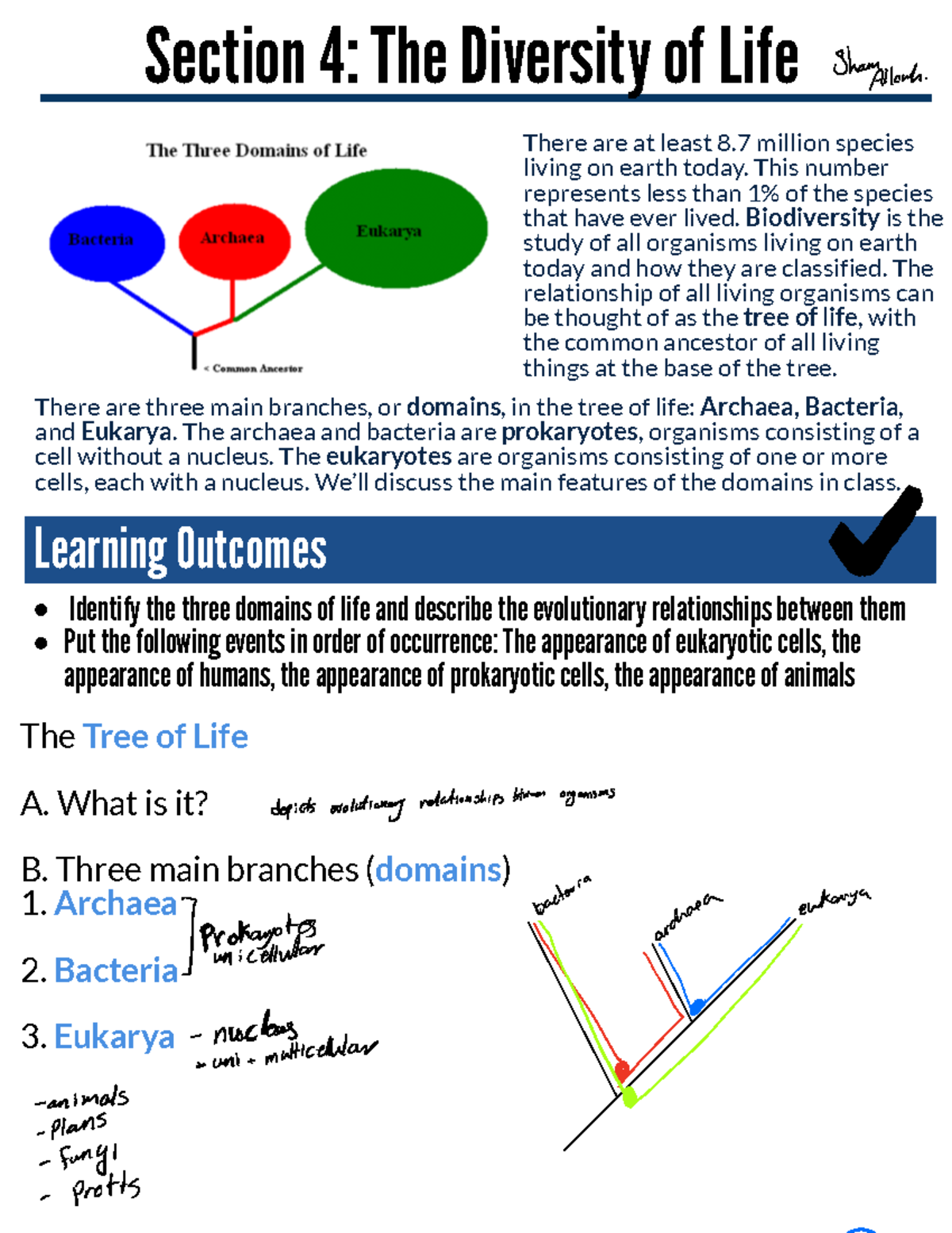 Section+4 - Section 4: The Diversity of Life - Section 4: The Diversity ...