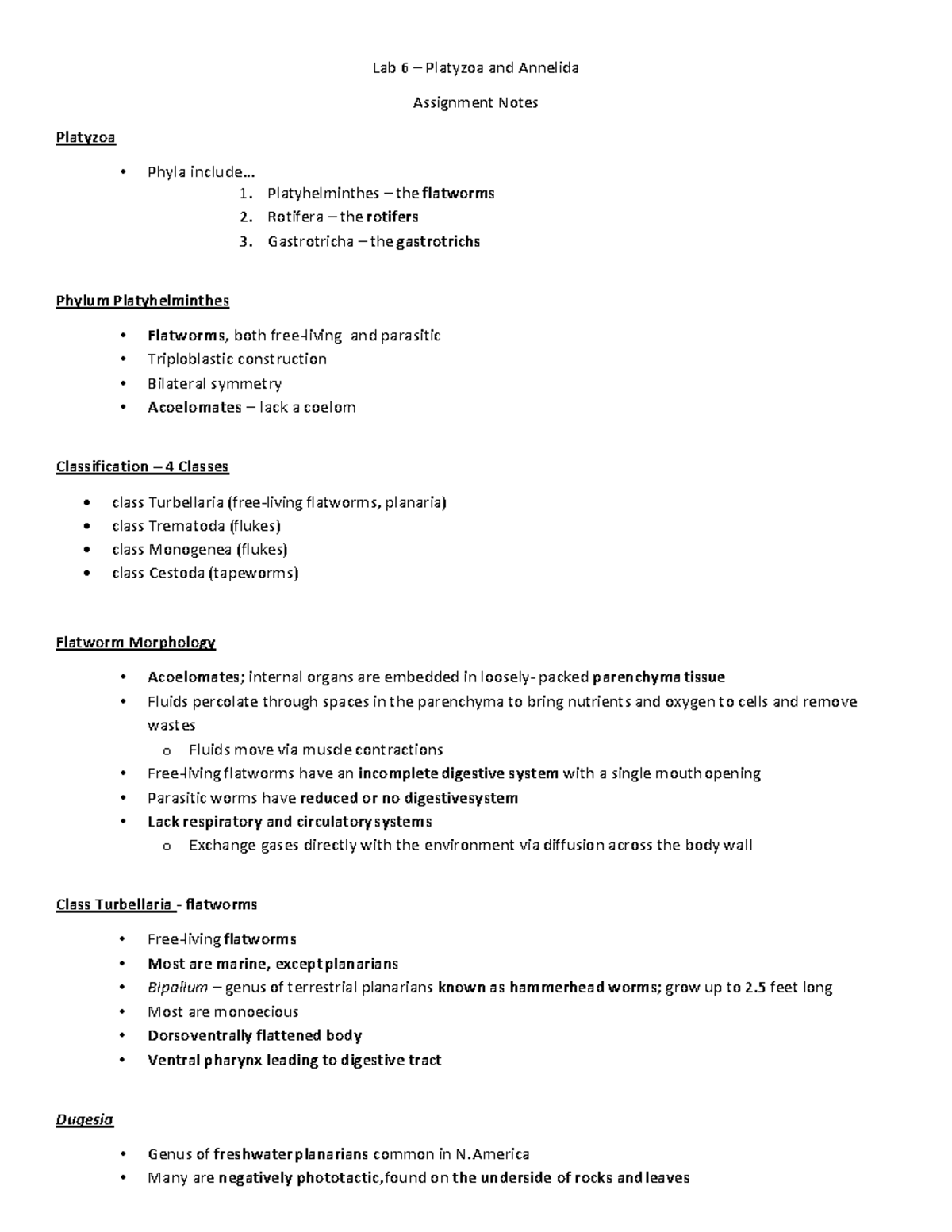 Lab 6 - Platyzoa Annelida - Lab 6 – Platyzoa and Annelida Assignment ...