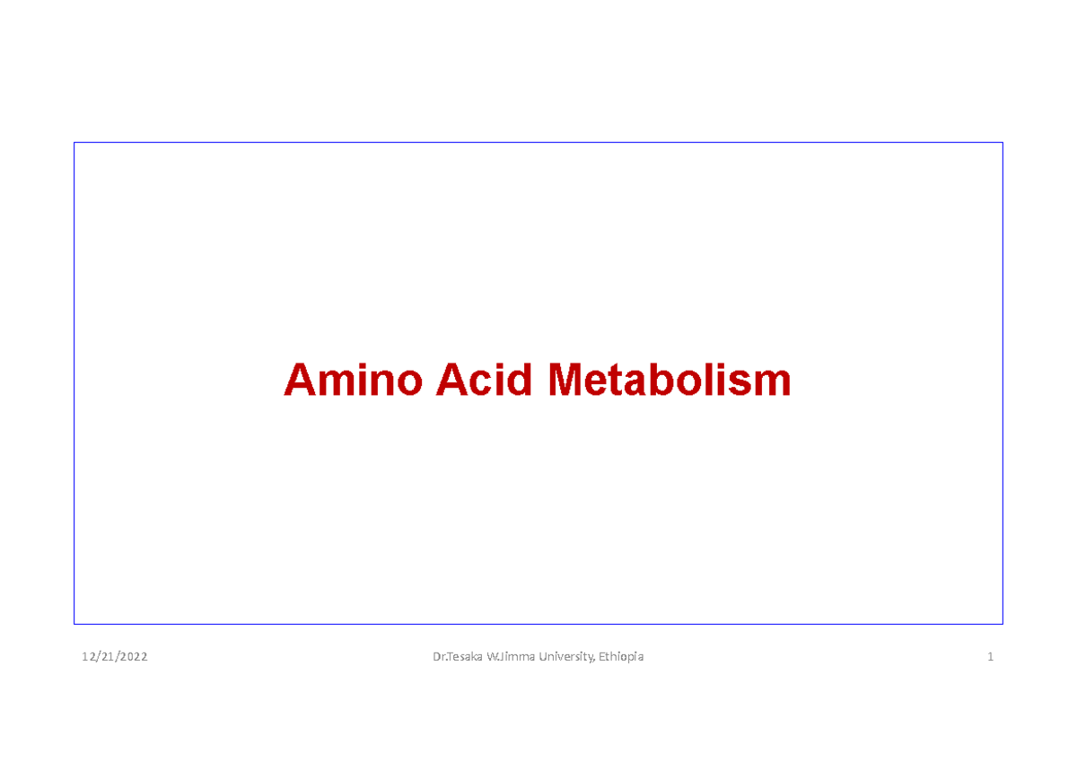 Day 1B - protein metabolism - Amino Acid Metabolism Synthesis of Amino ...