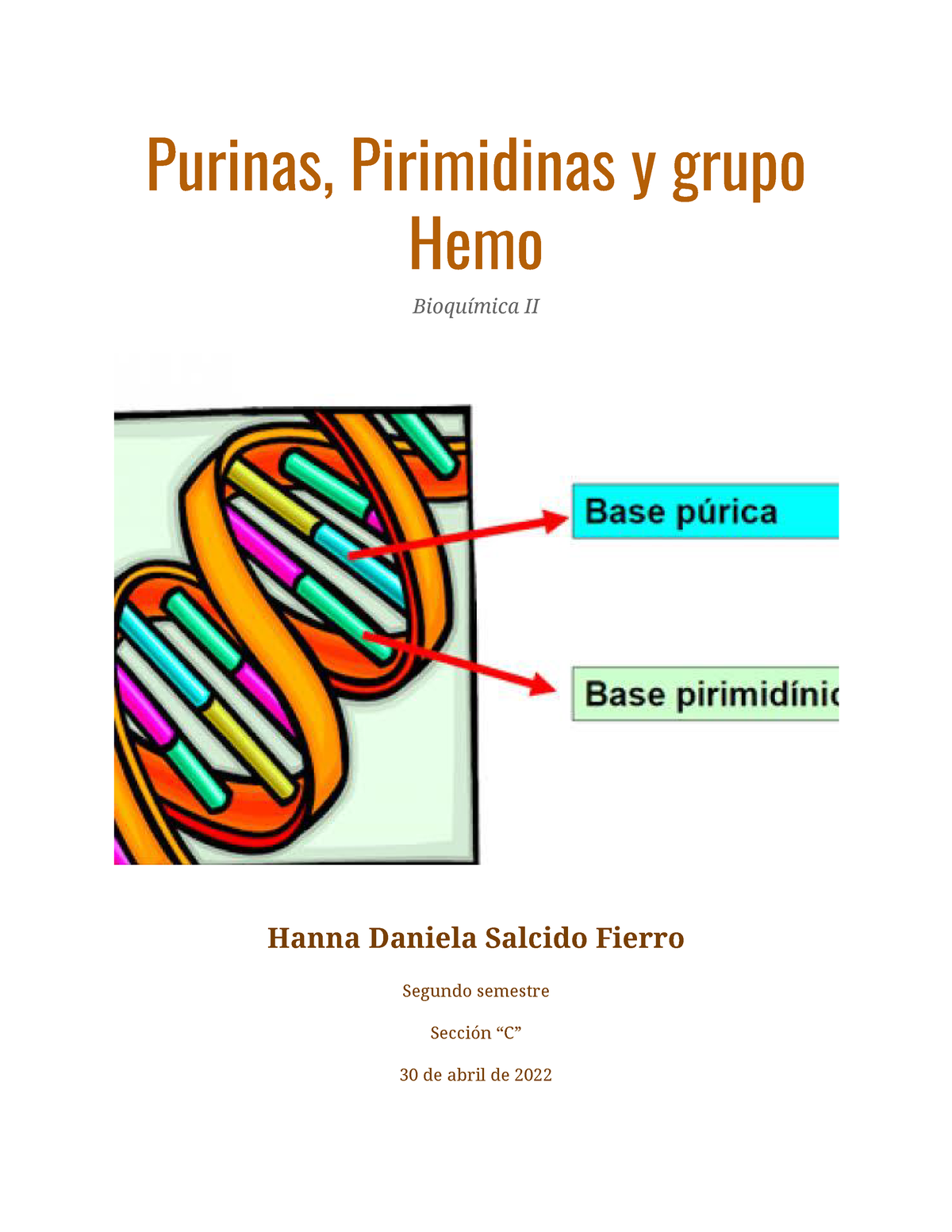 Purinas Pirimidinas Y Grupo Hemo Purinas Pirimidinas Y Grupo Hemo Bioquímica Ii Hanna 2223