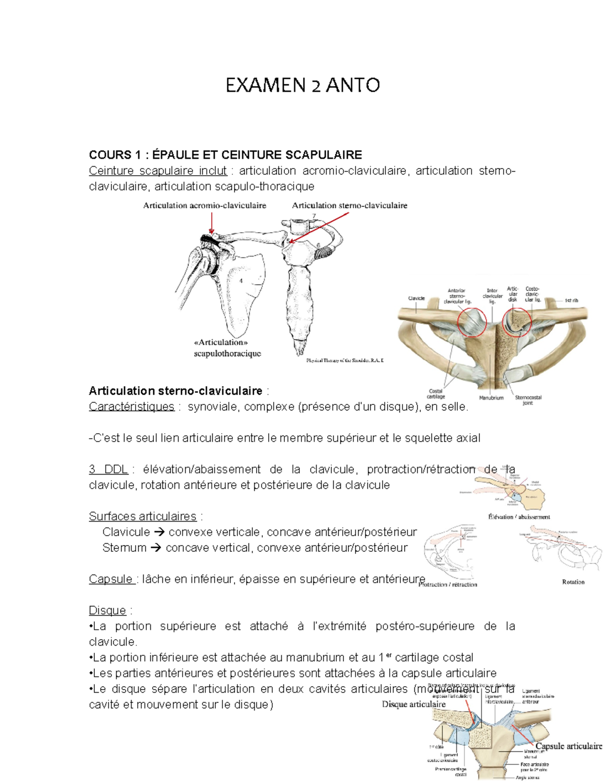 Examen 2 ANTO - EXAMEN 2 ANTO COURS 1 : ÉPAULE ET CEINTURE SCAPULAIRE ...