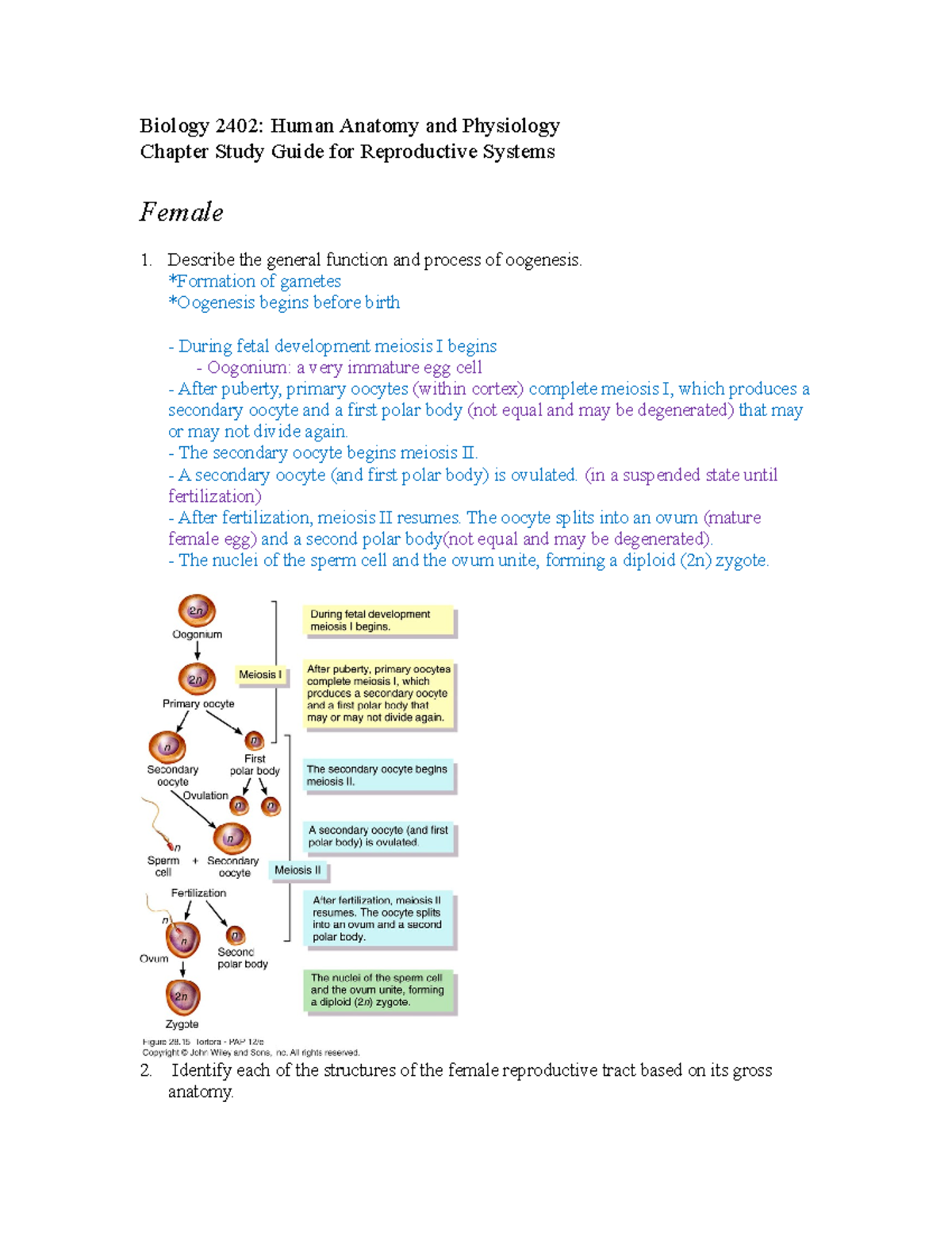 Anatomy And Physiology Chapter 17 Quizlet