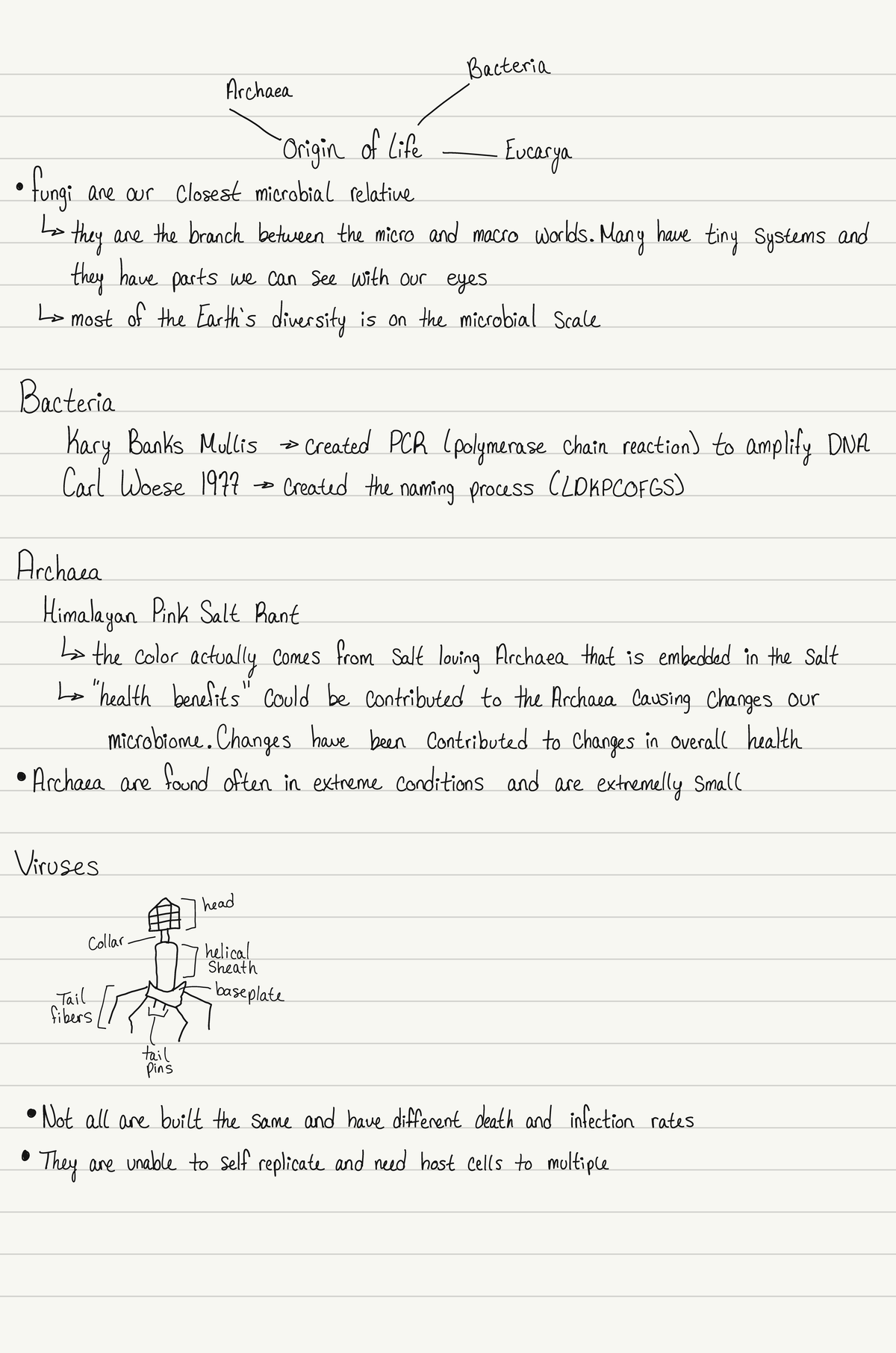 Intro to Micro - Notes on chapter 1 and 2 - Studocu