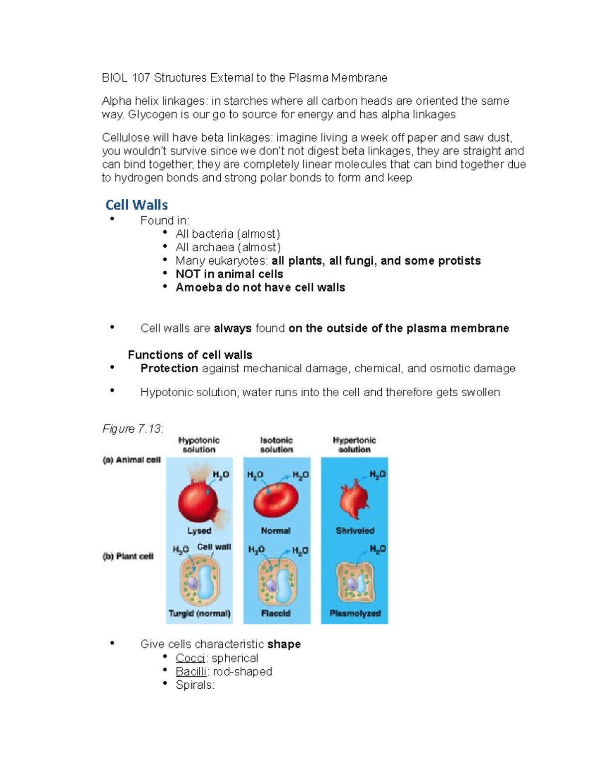 BIOL 107 Structures External to the Plasma Membrane - Glycogen is our ...