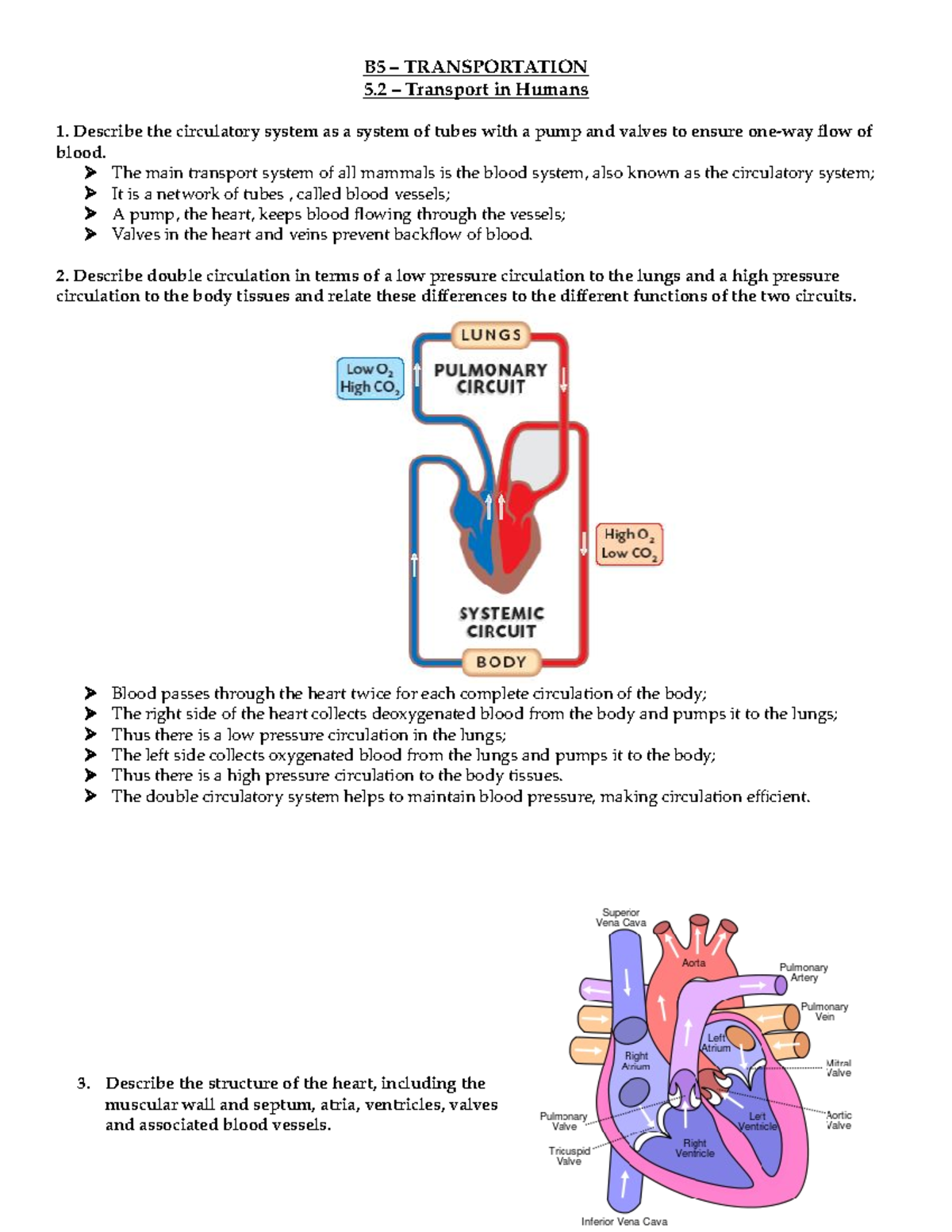 Anatomy and Physiology - B5 – TRANSPORTATION 5 – Transport in Humans 1 ...