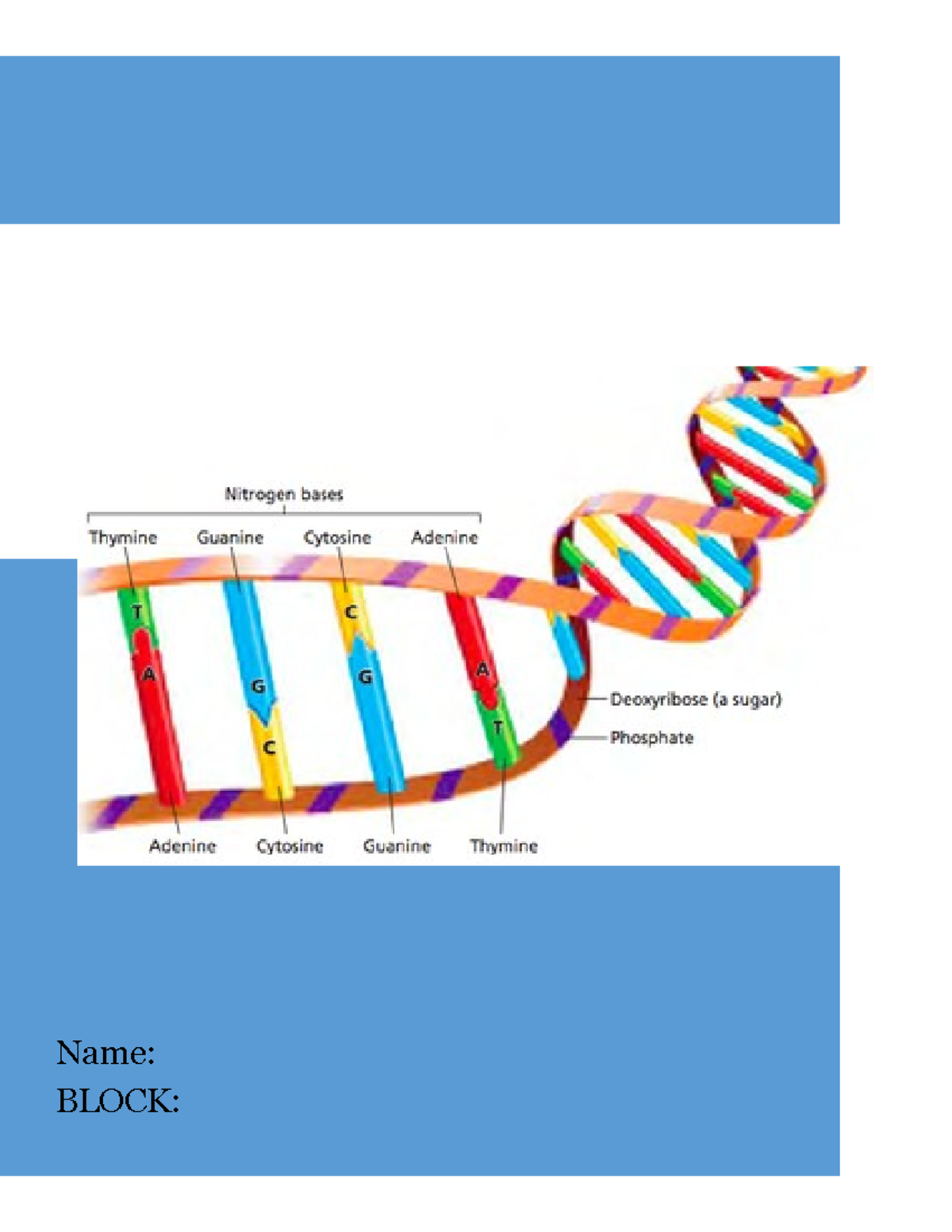 00-genetics-notes-2016-name-block-unit-7-genetics-name-date