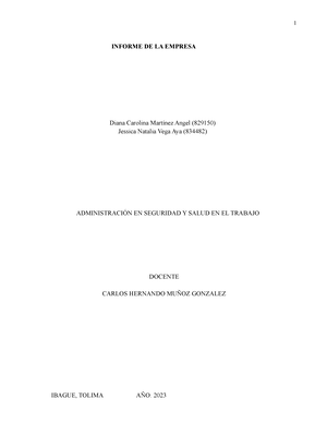 Informe Sobre Riesgo Elec Meca Para Un Sector Especifico Informe