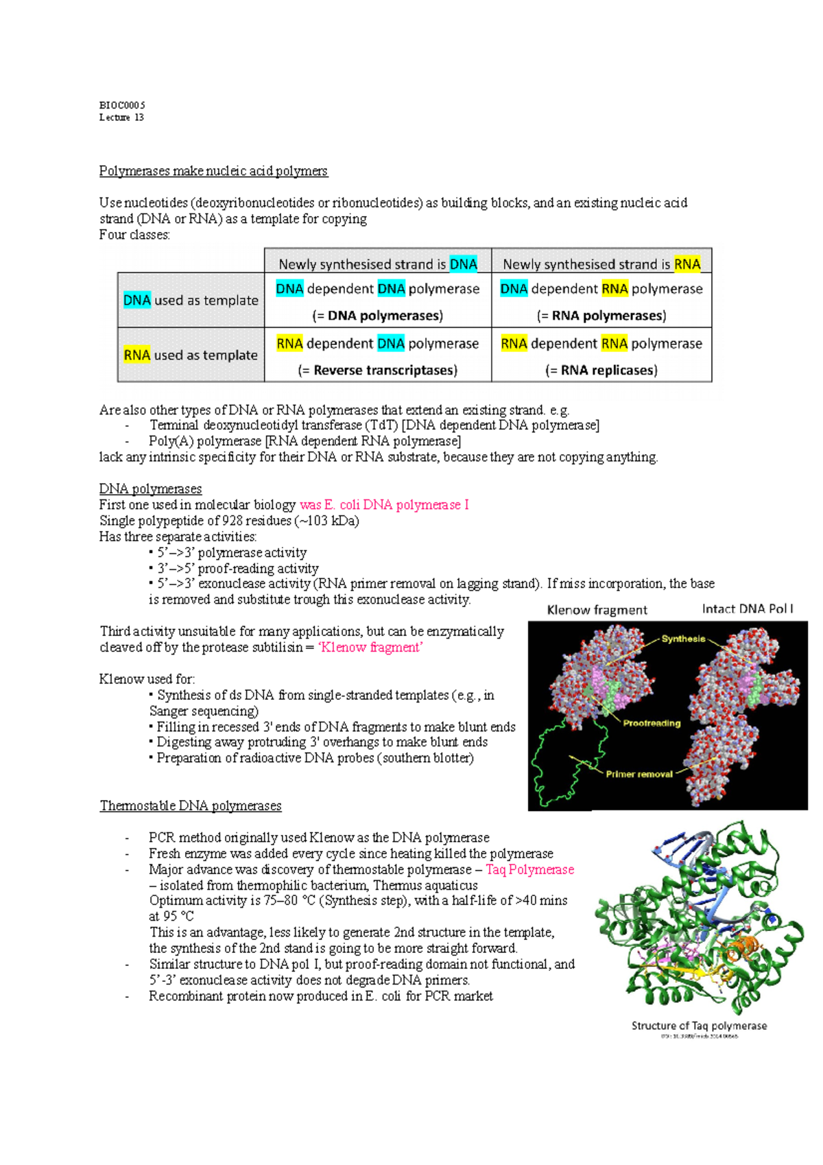 Lecture 13 - BIOC Lecture 13 Polymerases make nucleic acid polymers Use ...