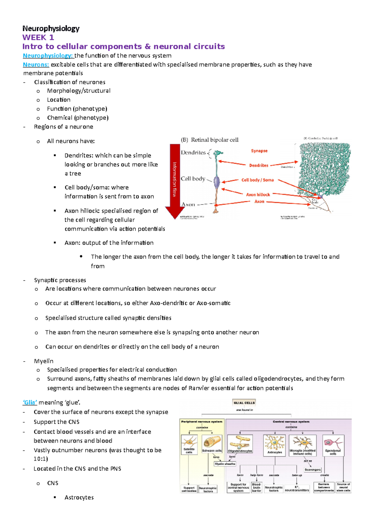 Neurophysiology - Neurophysiology WEEK 1 Intro to cellular components ...