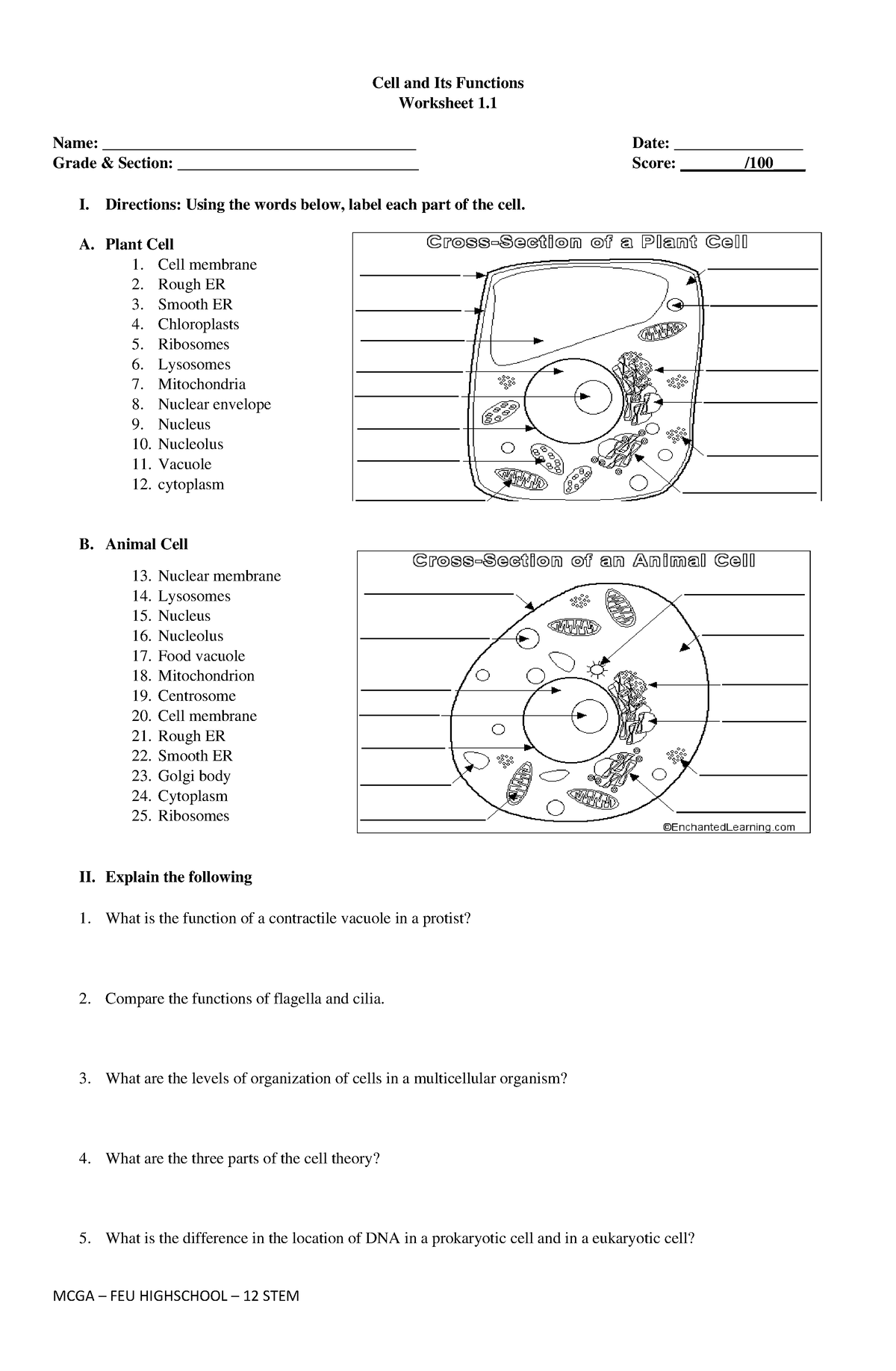 Worksheet 1 - Cell and Its functions Reviewer - Cell and Its Functions ...