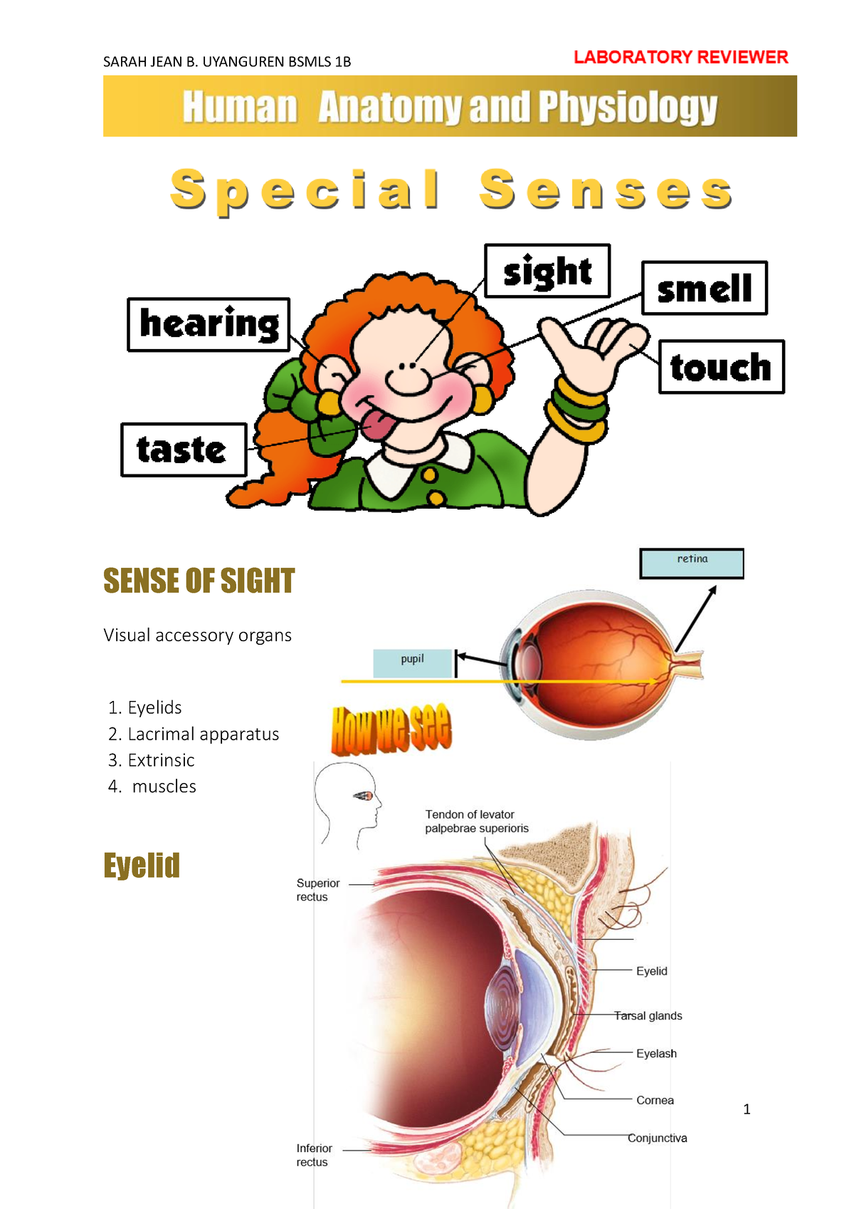 Special Senses LAB Reviewer - SENSE OF SIGHT Visual accessory organs 1 ...