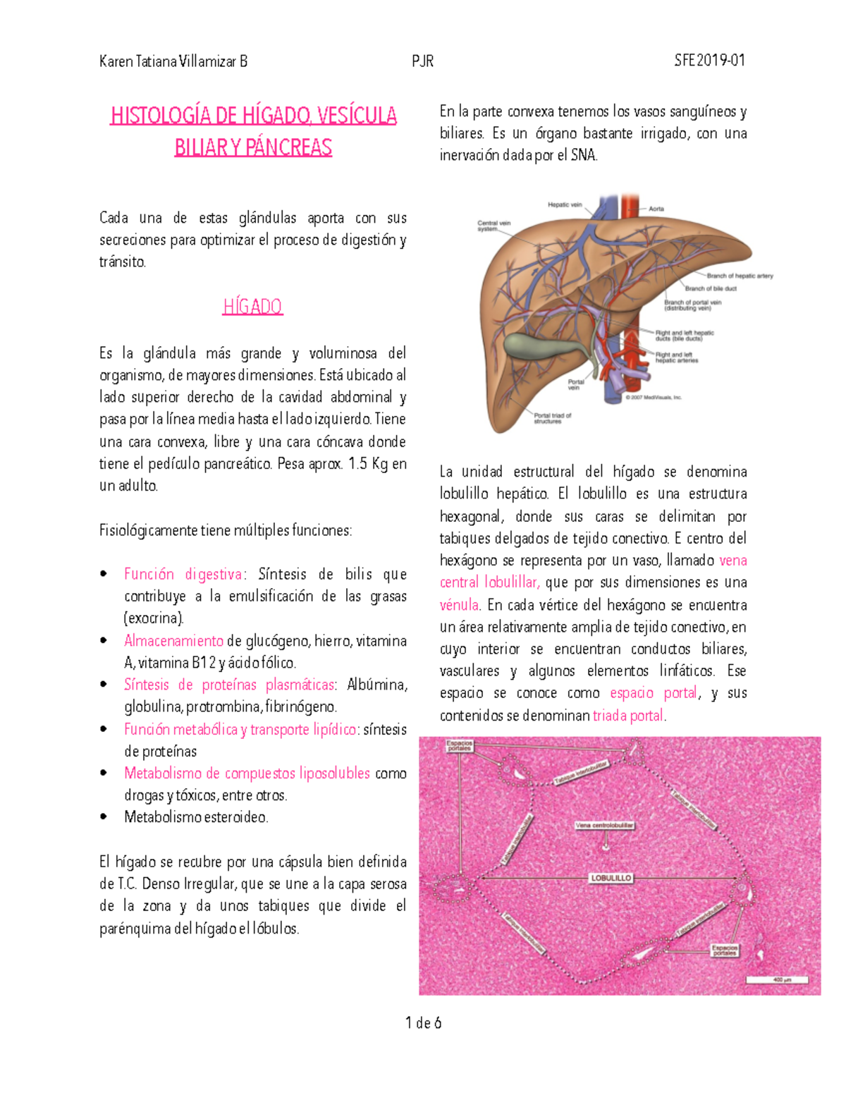 estructura de la vesícula biliar