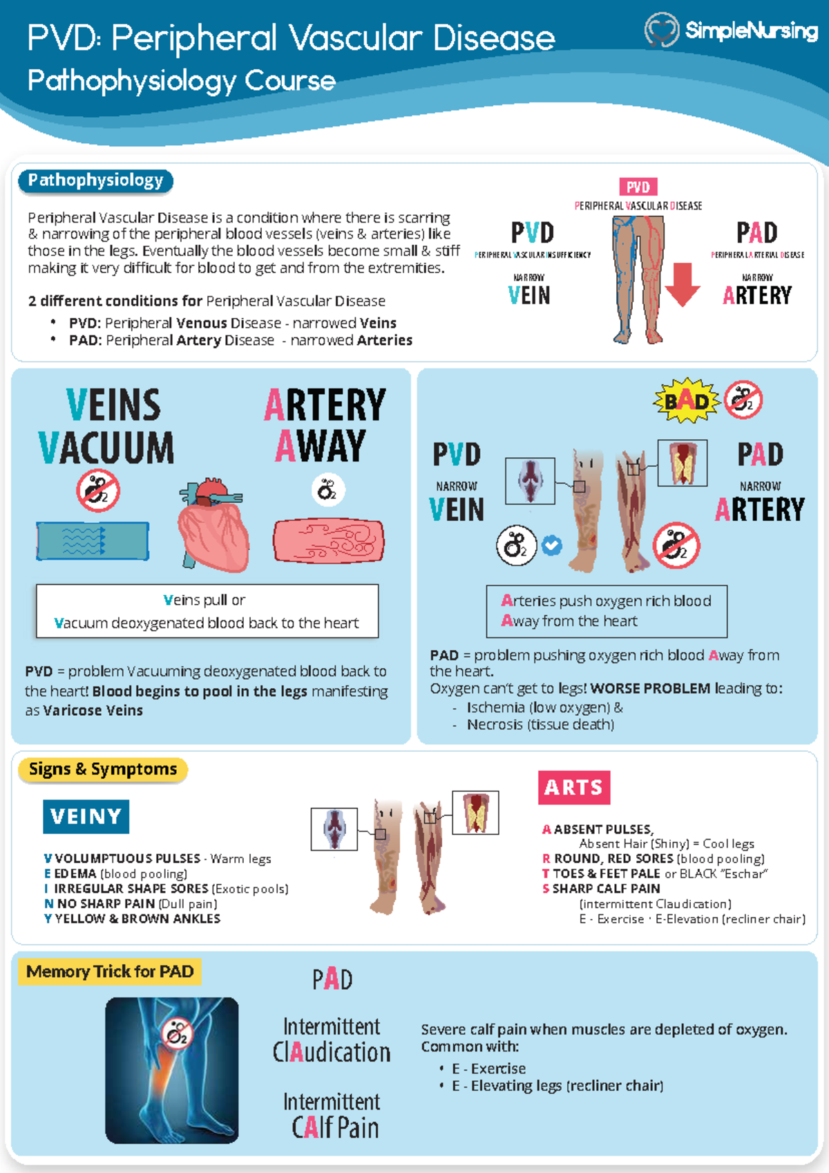 1. PVD - Patho & Signs - PVD: Peripheral Vascular Disease ...