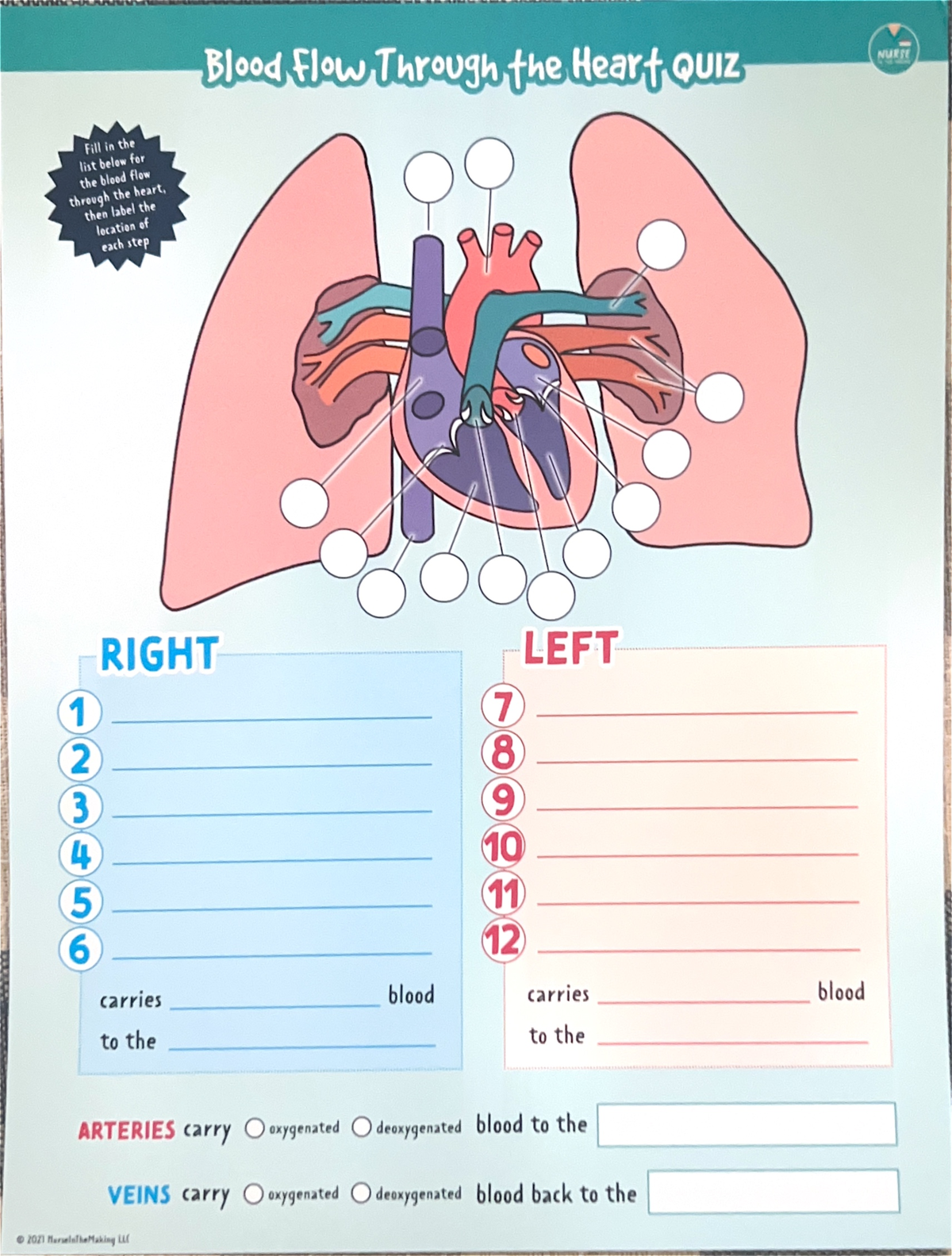 Cardiac template - D029 - Studocu