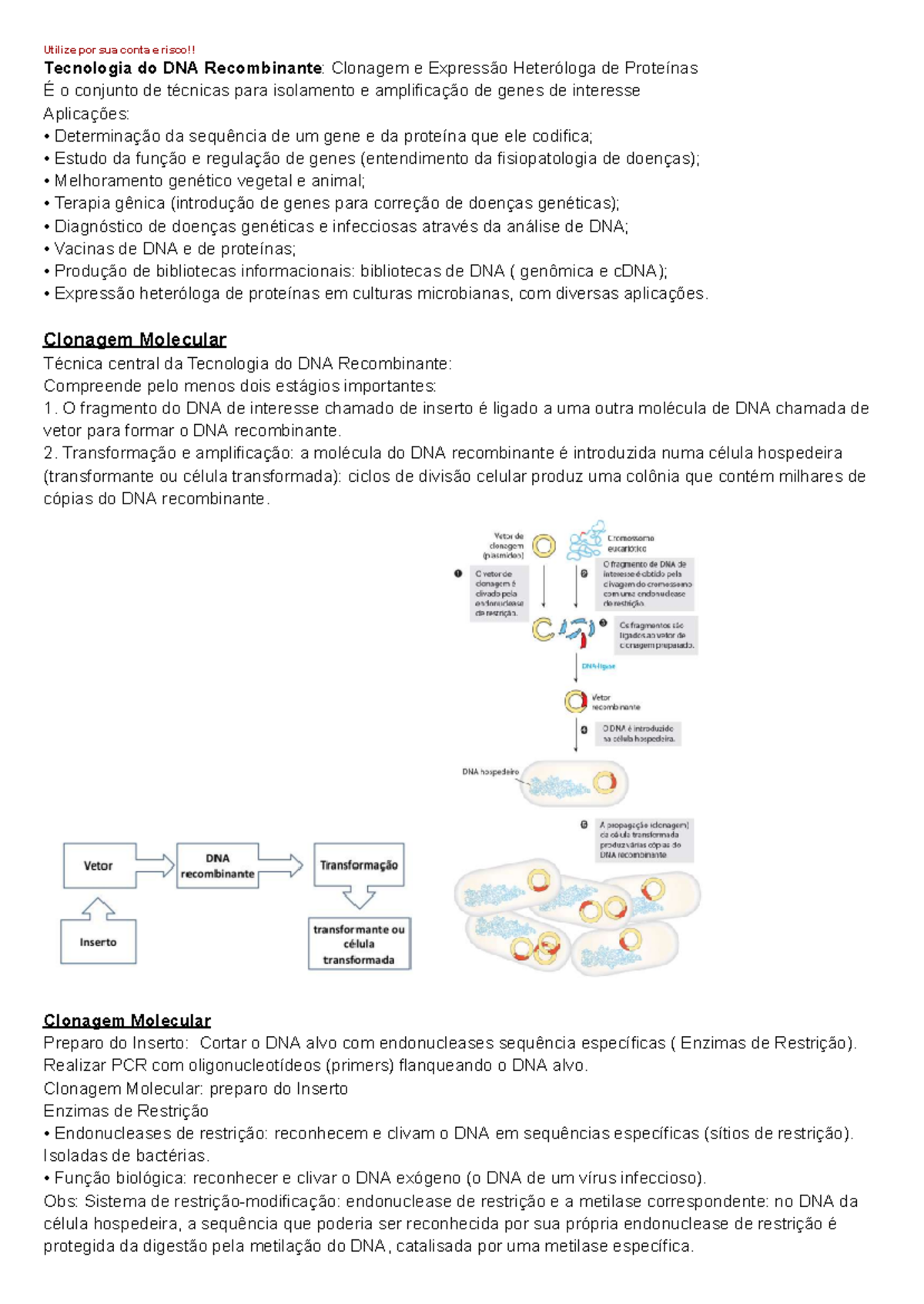 Tecnologia do DNA Recombinante: Clonagem - Clonagem Molecular Técnica ...