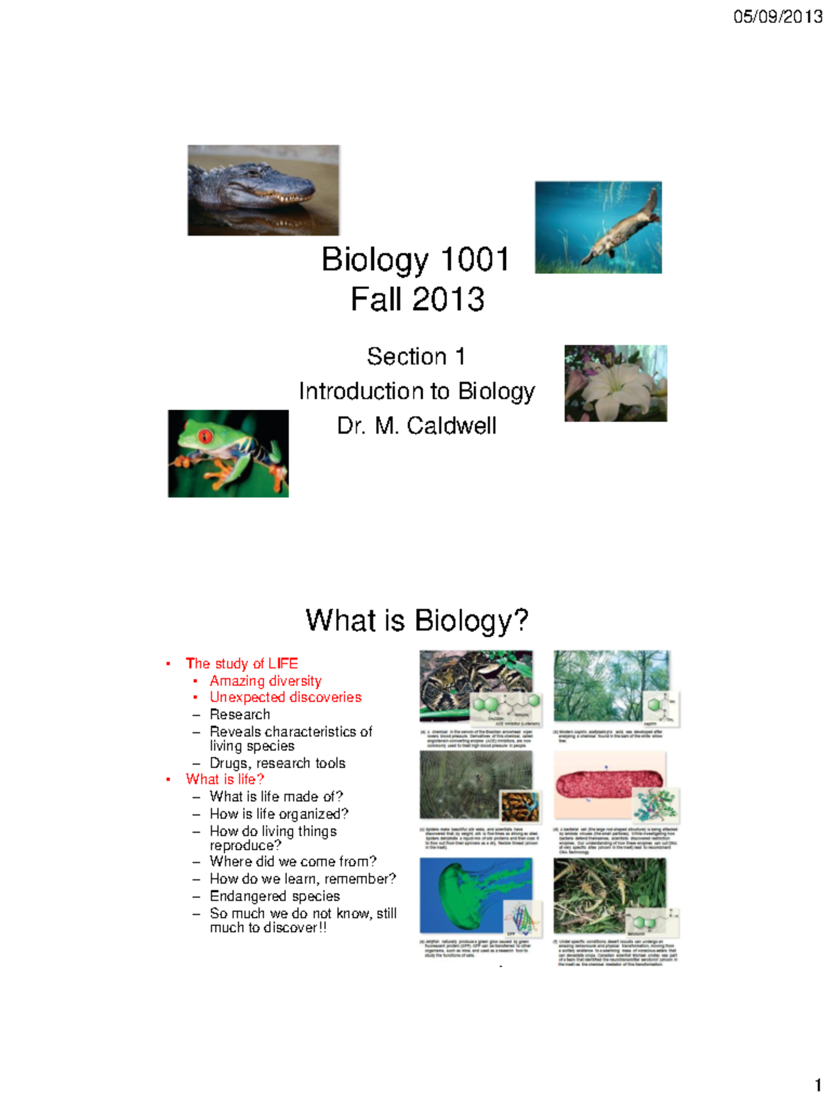 Biology 1001 F13 Section 1 - 2 Slides - 05/09/2013 Biology 1001 Fall ...