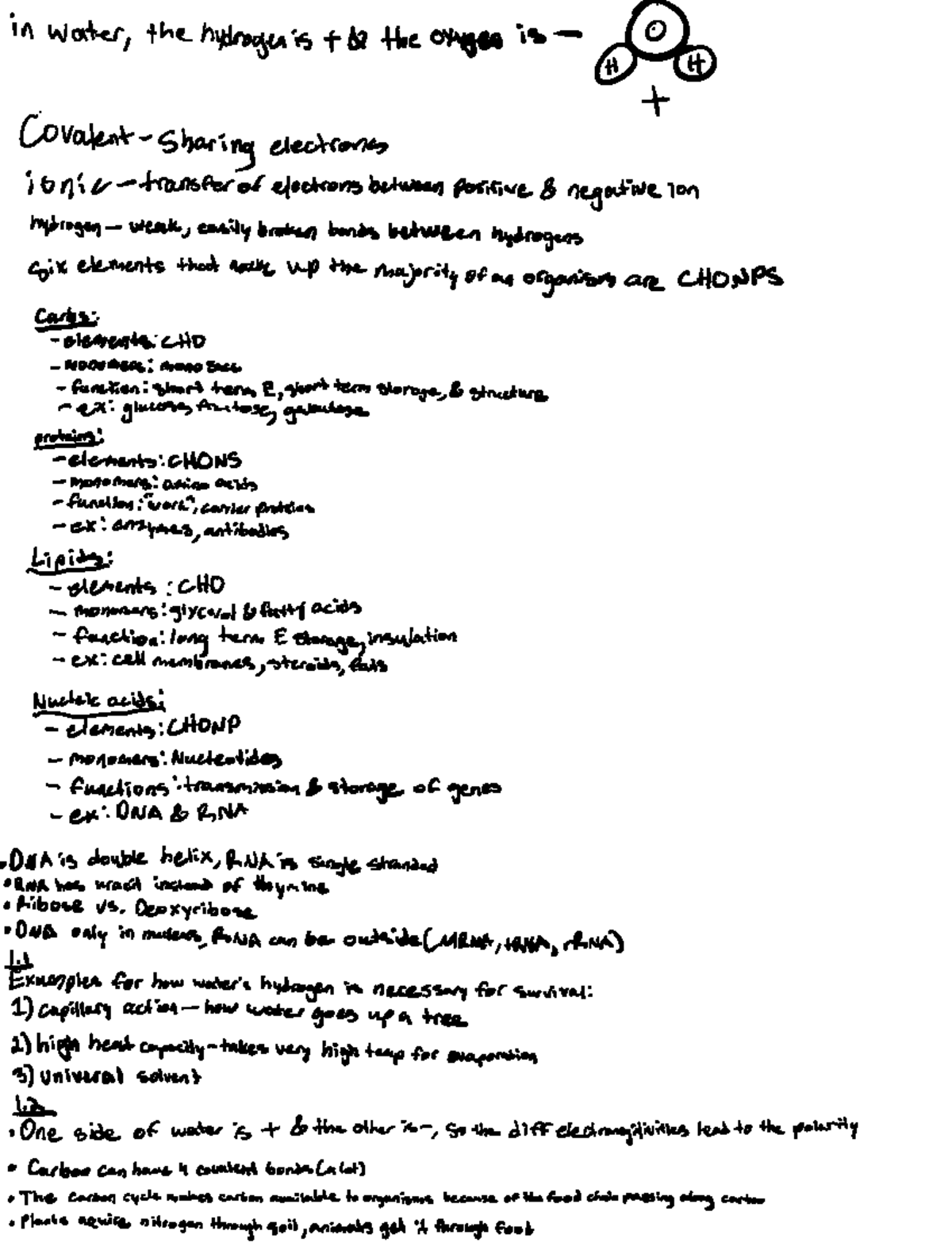 BIO EXAM 1 Review - Deprecated API usage: The SVG back-end is no longer ...