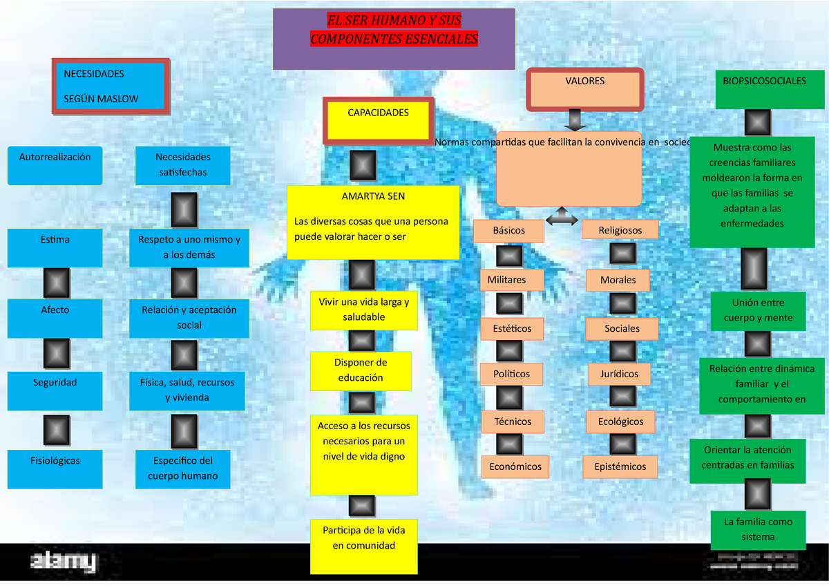 Mapa Mental El Ser Humano Y Sus Componentes Esenciales Valores Normas Compartidas Que 5987