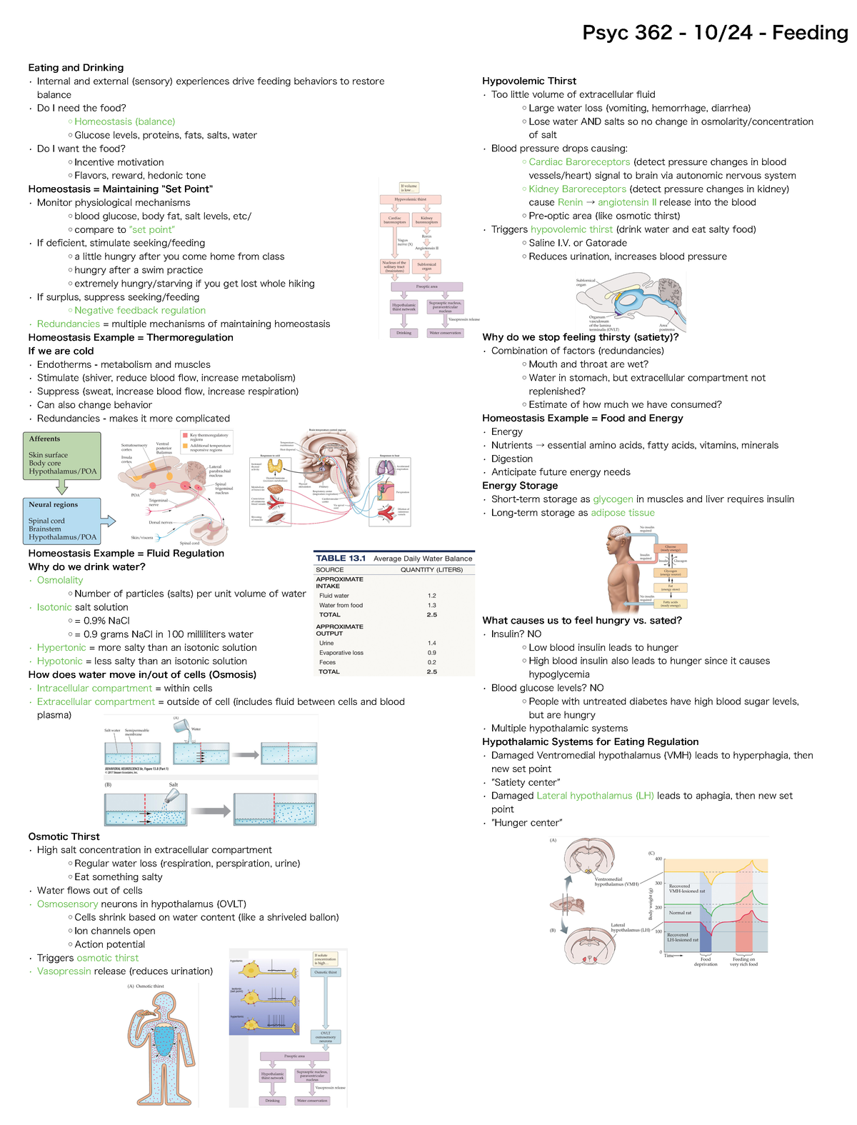 Psyc 362 10 - Drug And Bevhav Notes - PSYC 330 - Studocu