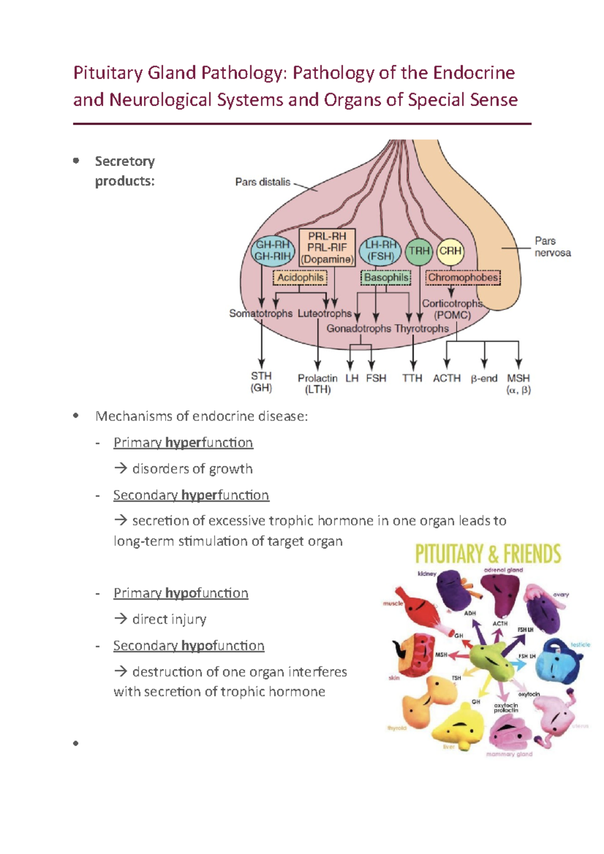 Pituitary Gland Pathology Pensoss - Pituitary Gland Pathology ...