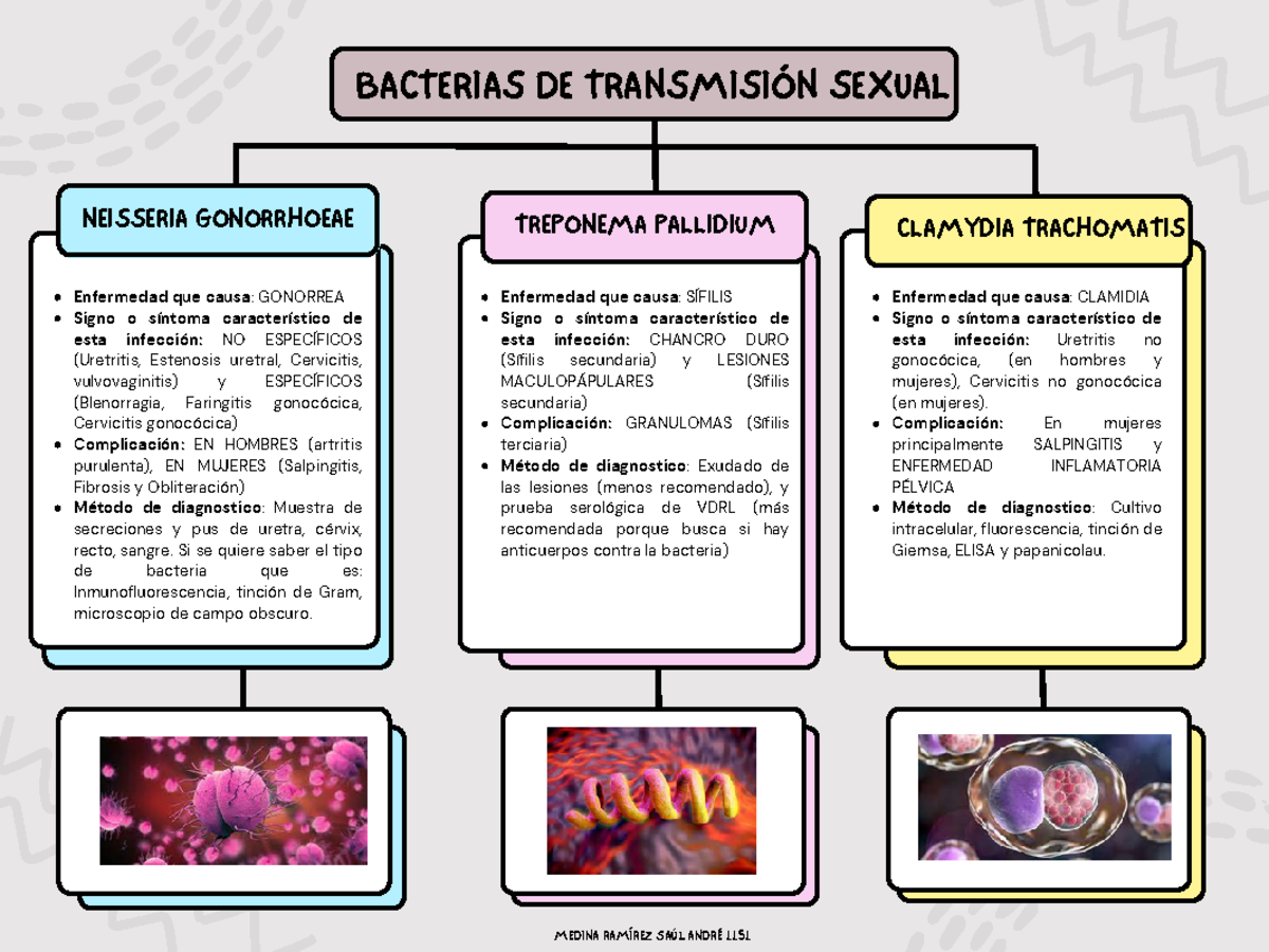 Bacterias DE Transmisión Sexual - TREPONEMA PALLIDIUM BACTERIAS DE