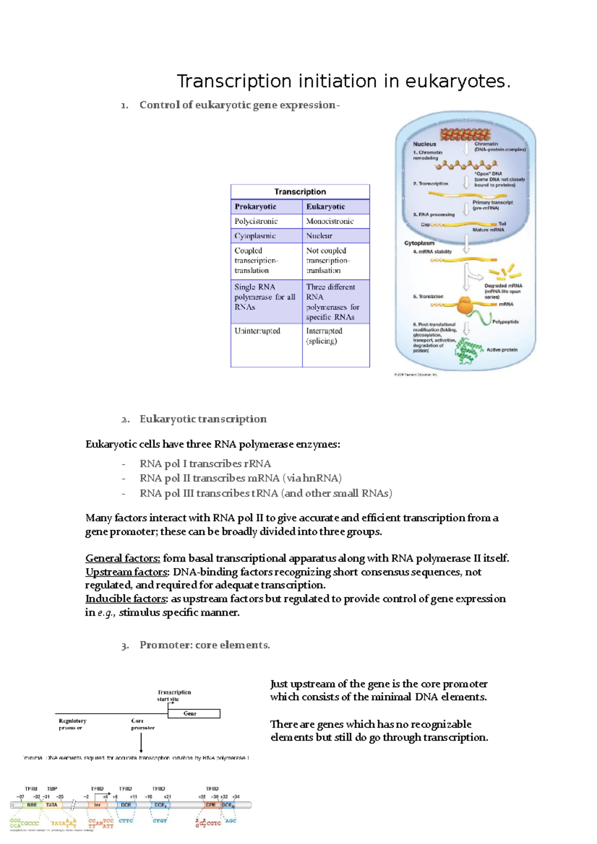 7. Transcription, regulation in eukaryotes and post-transcriptional ...