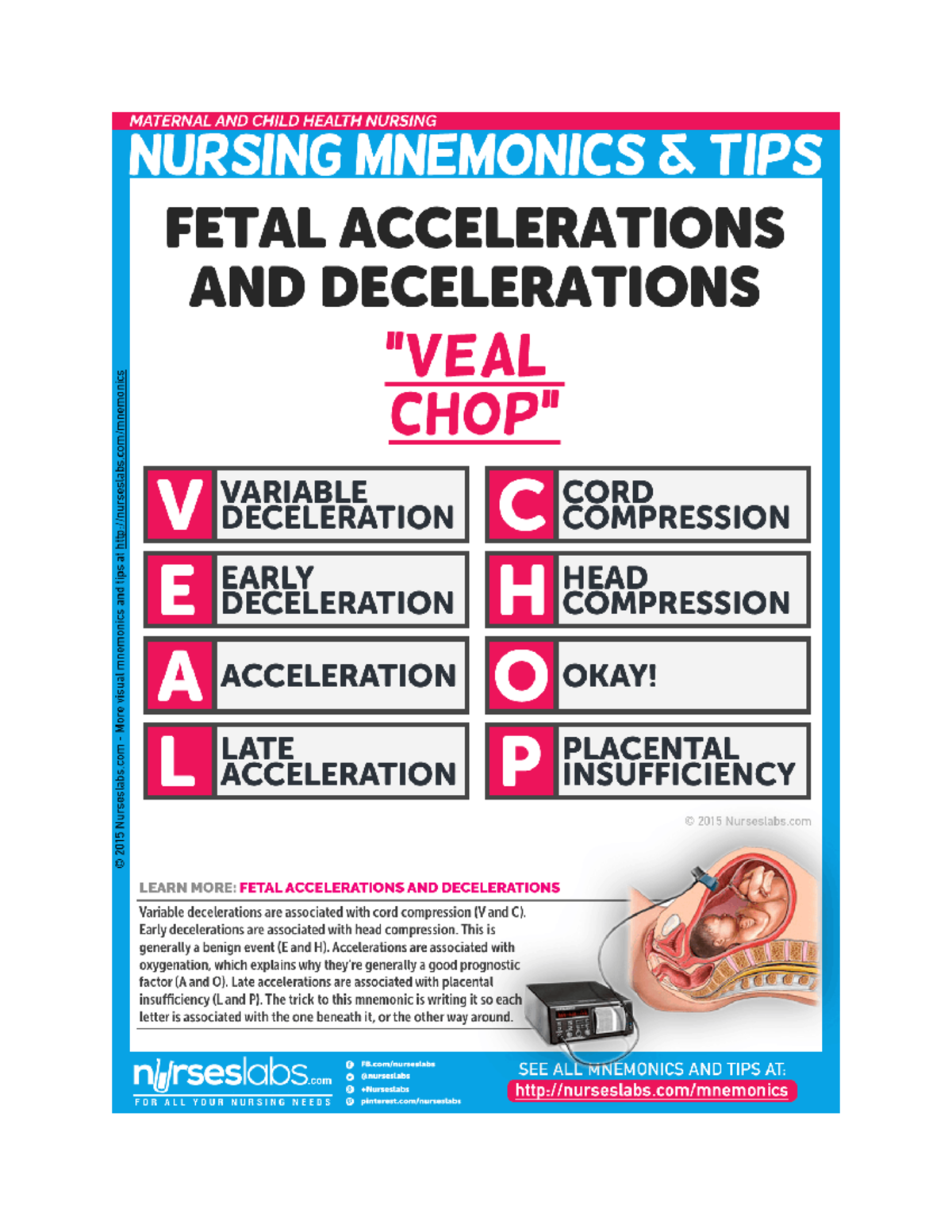 VEAL CHOP Lecture notes WEEK 4 NR327 Studocu