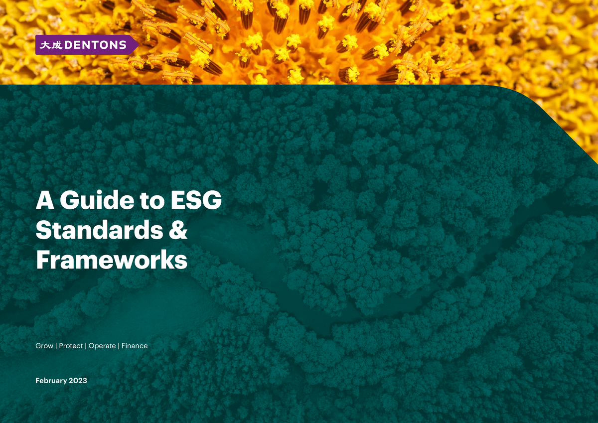 A Guide To Esg Standards And Frameworks A Guide To Esg Standards