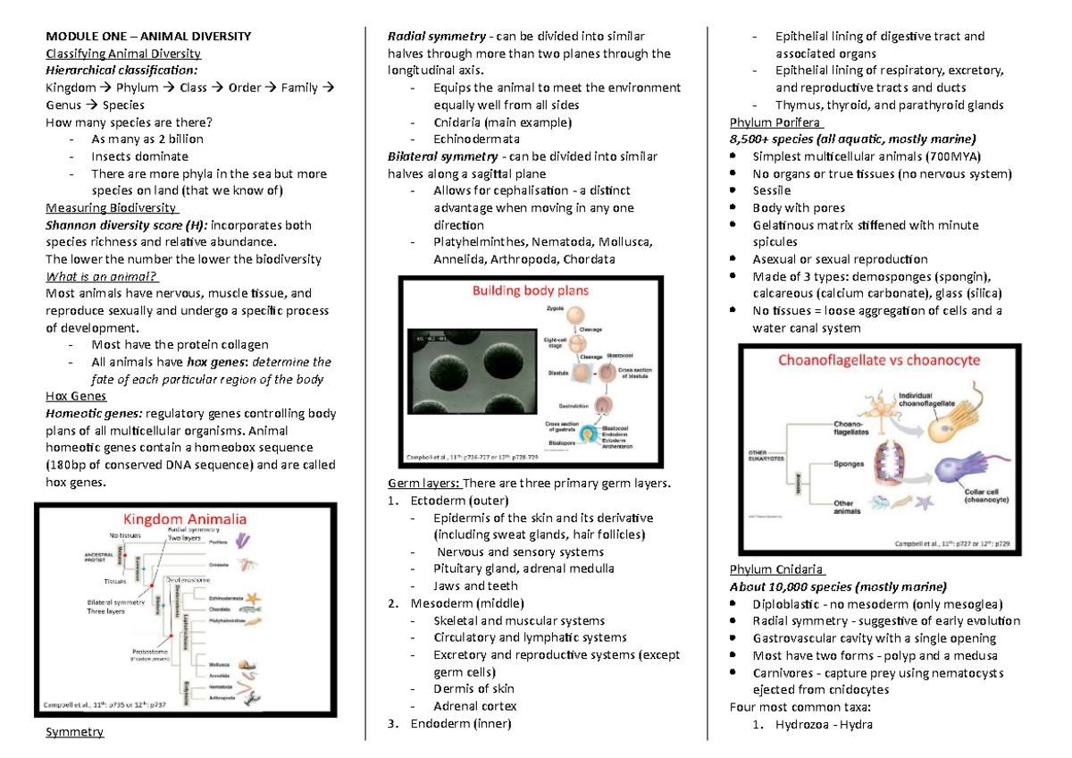 BIOL112 Notes - MODULE ONE – ANIMAL DIVERSITY Classifying Animal ...