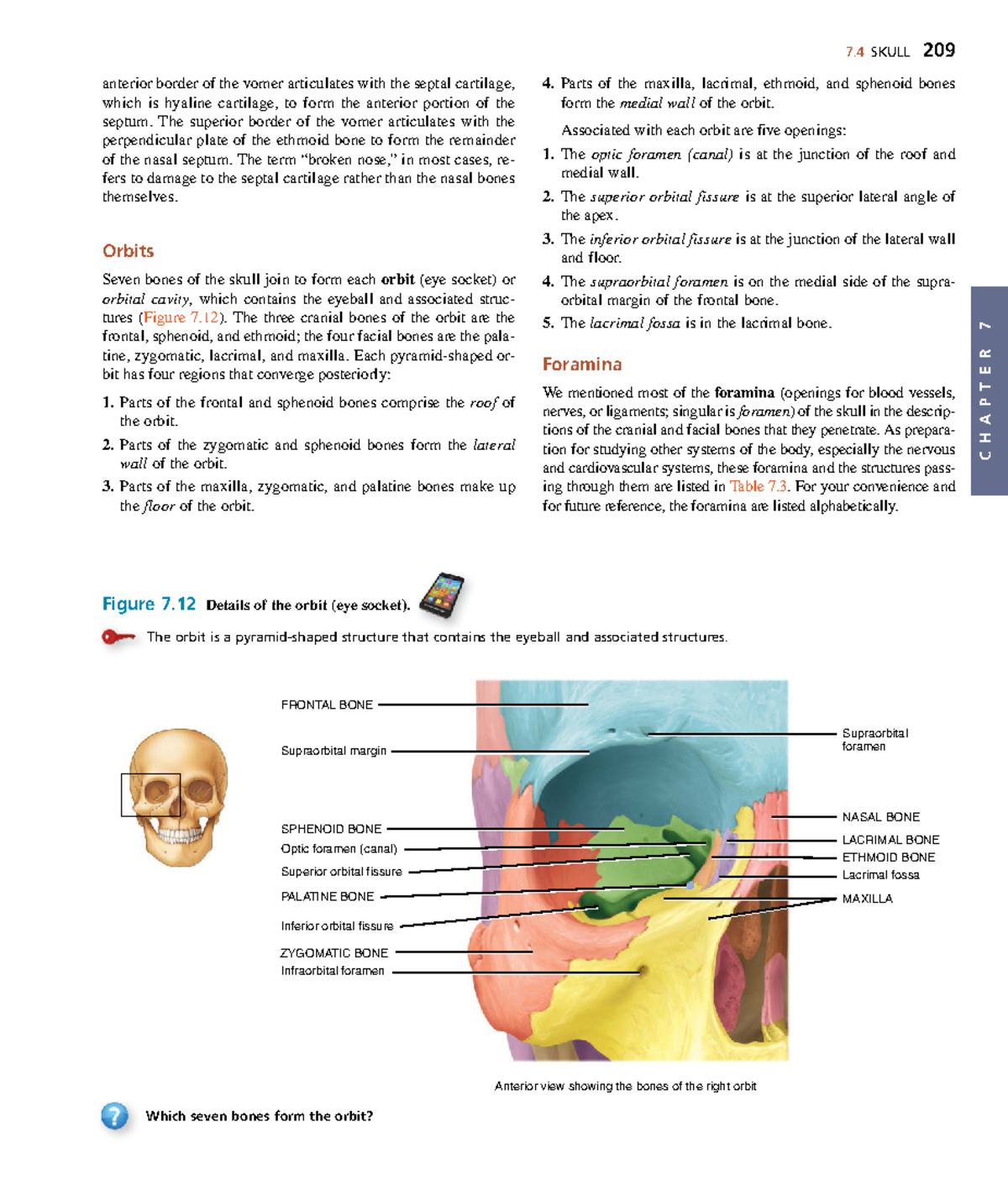 Anatomyand Physiology-81 - C H A P T E R 7 7 SKULL 209 4. Parts of the ...