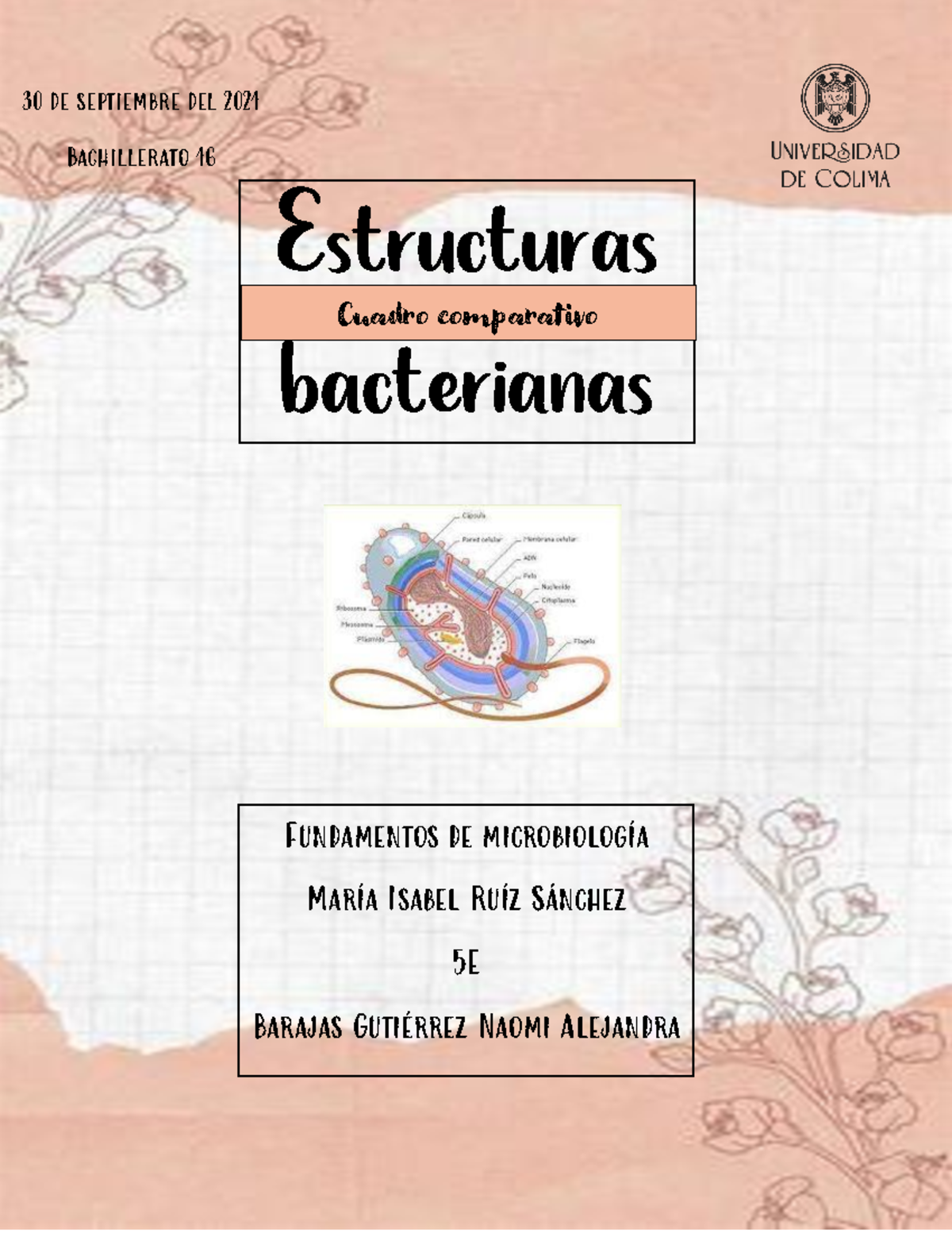 Estructuras Bacterianas FM - 30 De Septiembre Del 2021 Bachillerato 16 ...