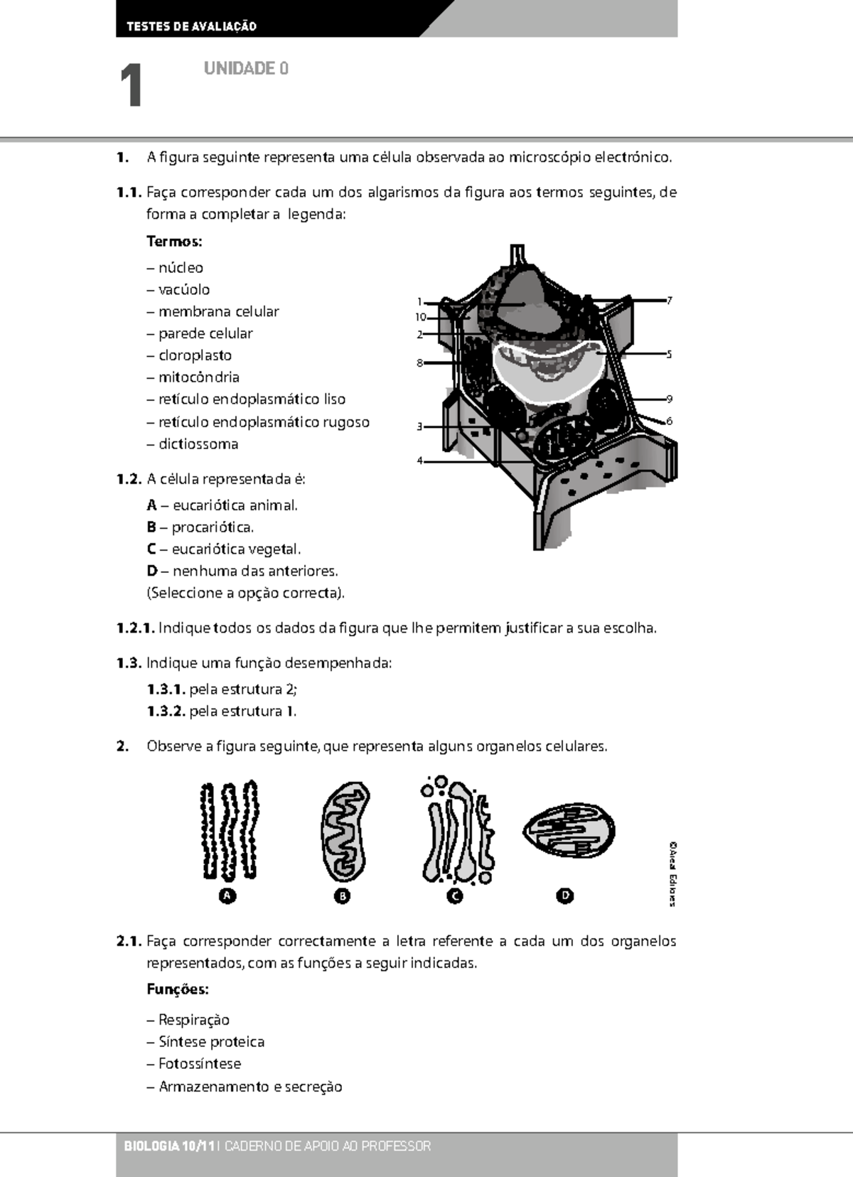 Exercícios de Biologia- 10º ano (Unidade 0)- Células - 1. A figura ...