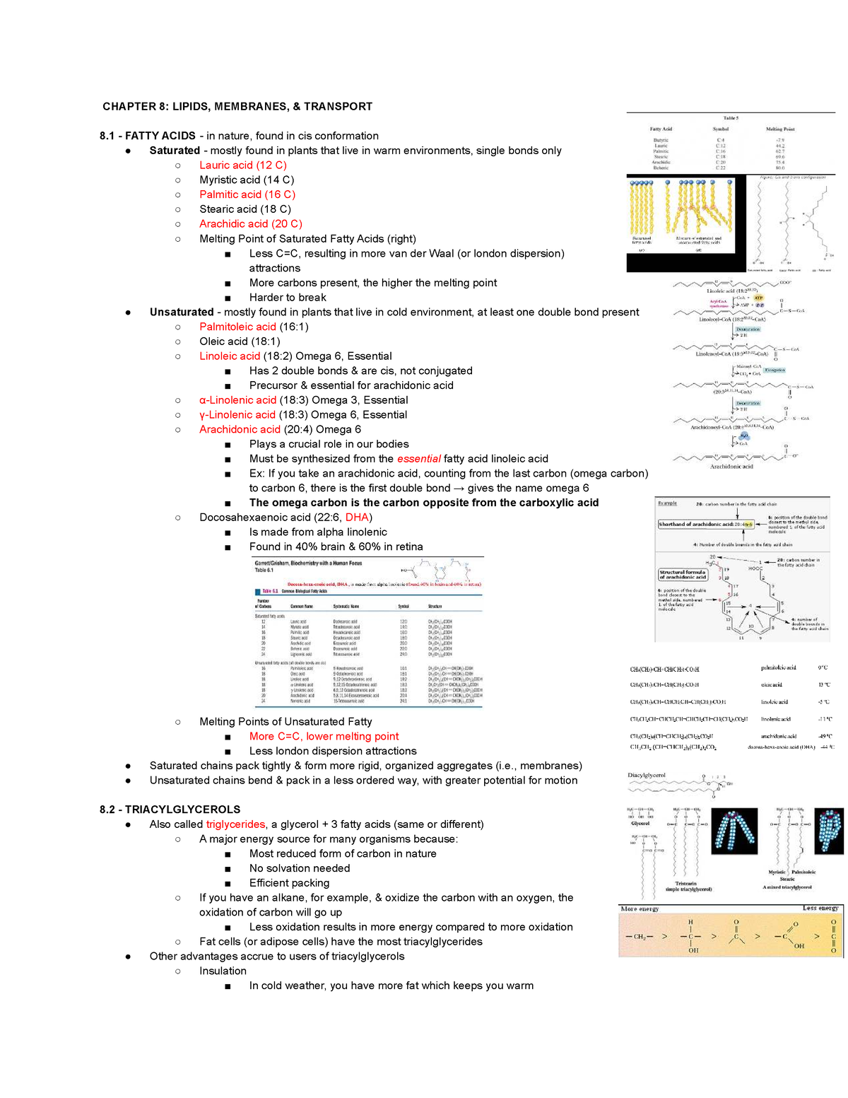 Bch 3033 Chp 8 Notes - Biochem - CHAPTER 8: LIPIDS, MEMBRANES ...