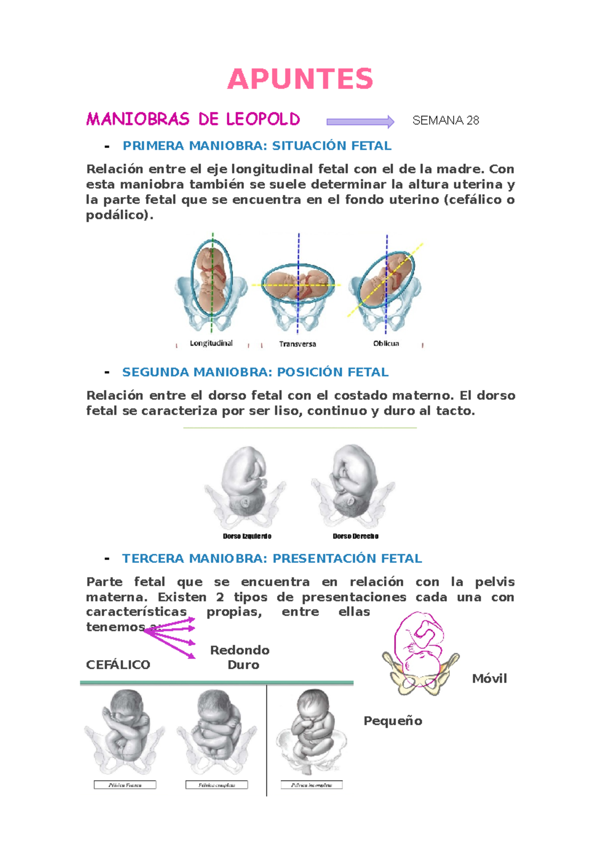 MANIOBRAS DE LEOPOLD - APUNTES MANIOBRAS DE LEOPOLD SEMANA 28  PRIMERA  MANIOBRA: SITUACIÓN FETAL - Studocu