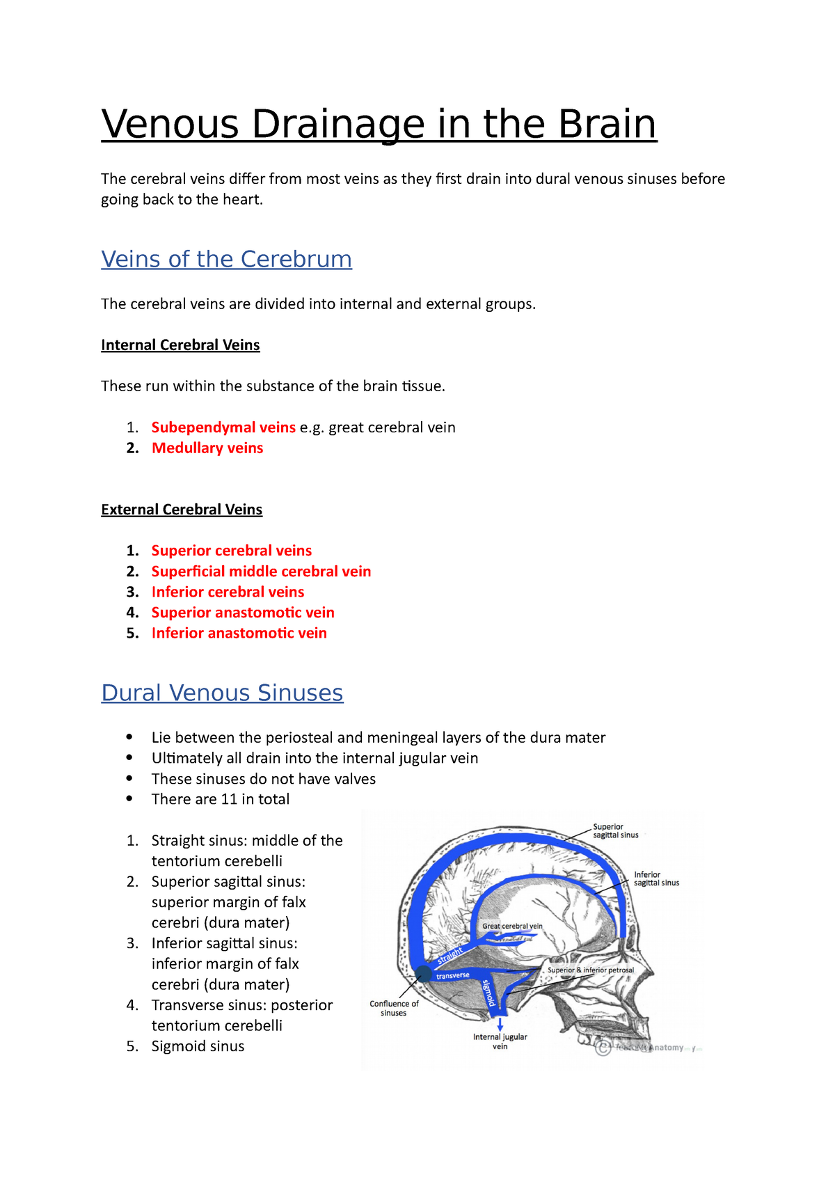 Venous Drainage In The Brain Veins Of The Cerebrum The Cerebral Veins Are Divided Into 5522