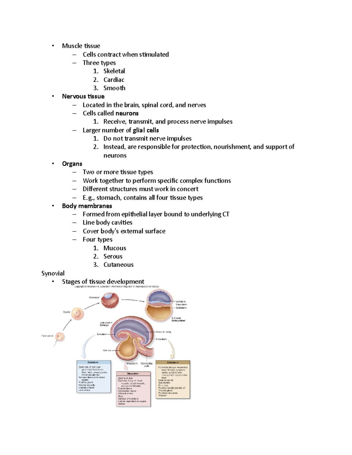 Biol Chapter 5c - Marcus Medina - Muscle tissue Cells contract when ...