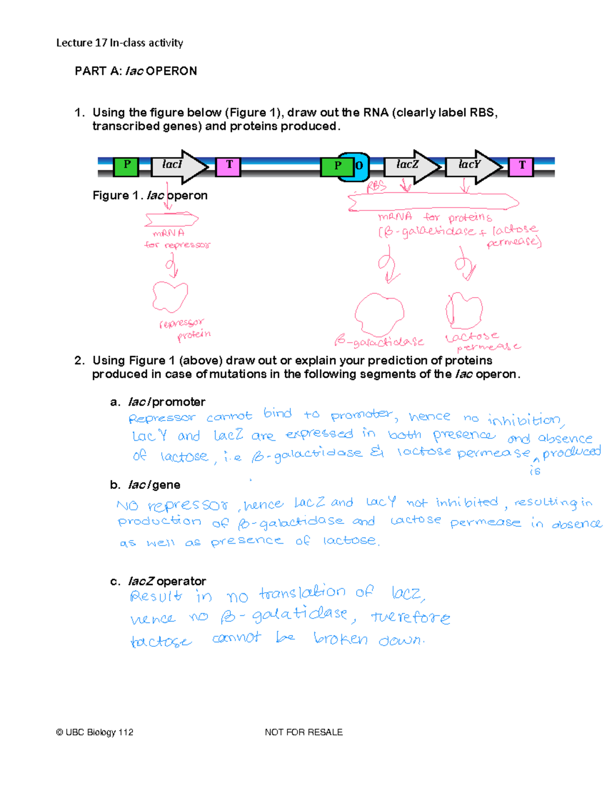 Lecture+17+In-Class+worksheet BIOL+112+2022WT - Lecture 17 In-class ...