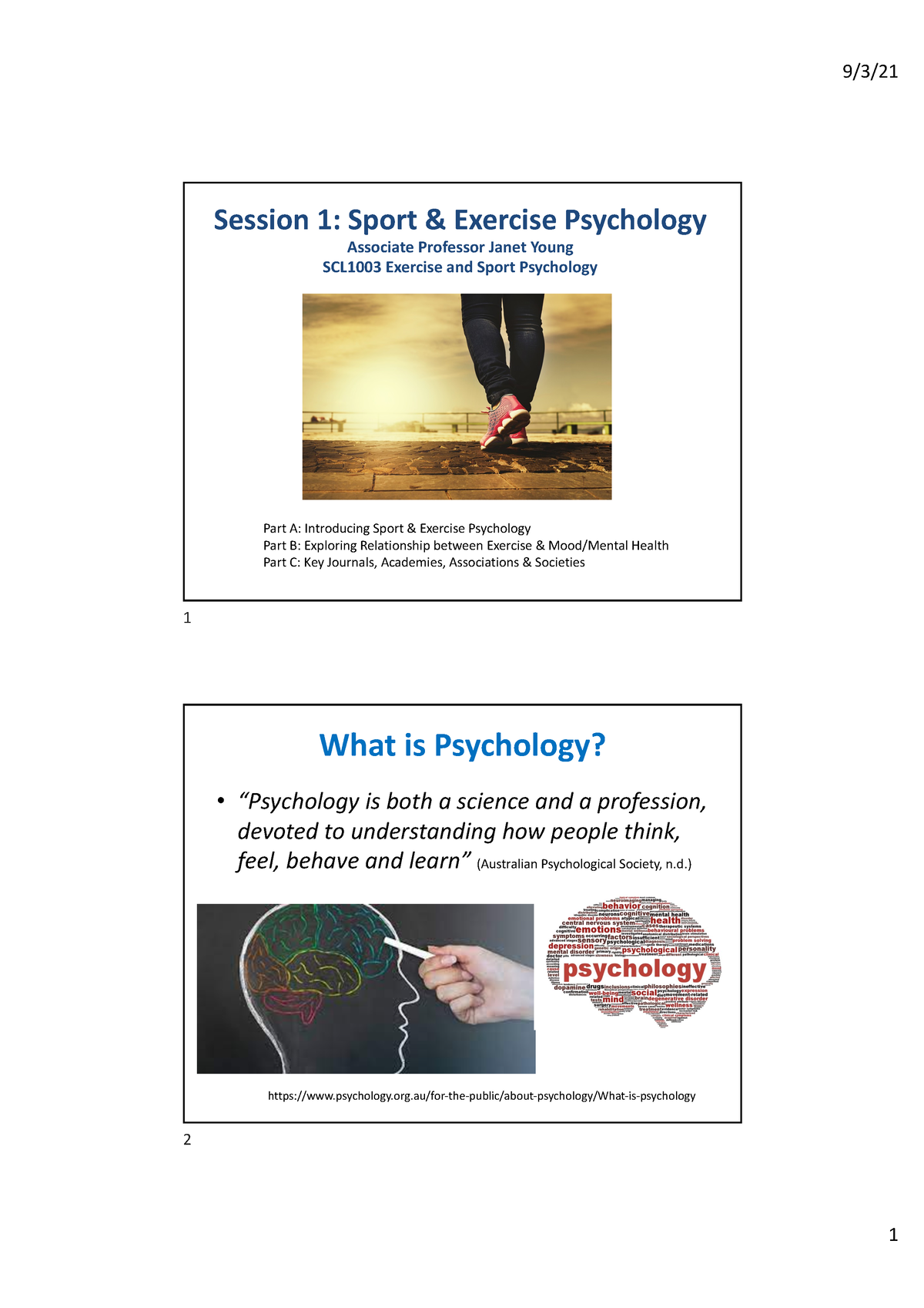 sports and exercise psychology essay