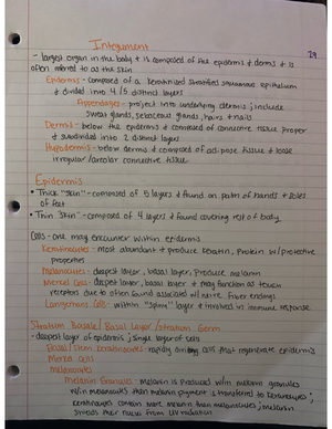 Physiology Exam 1 Notes - The University of Tennessee at Chattanooga ...