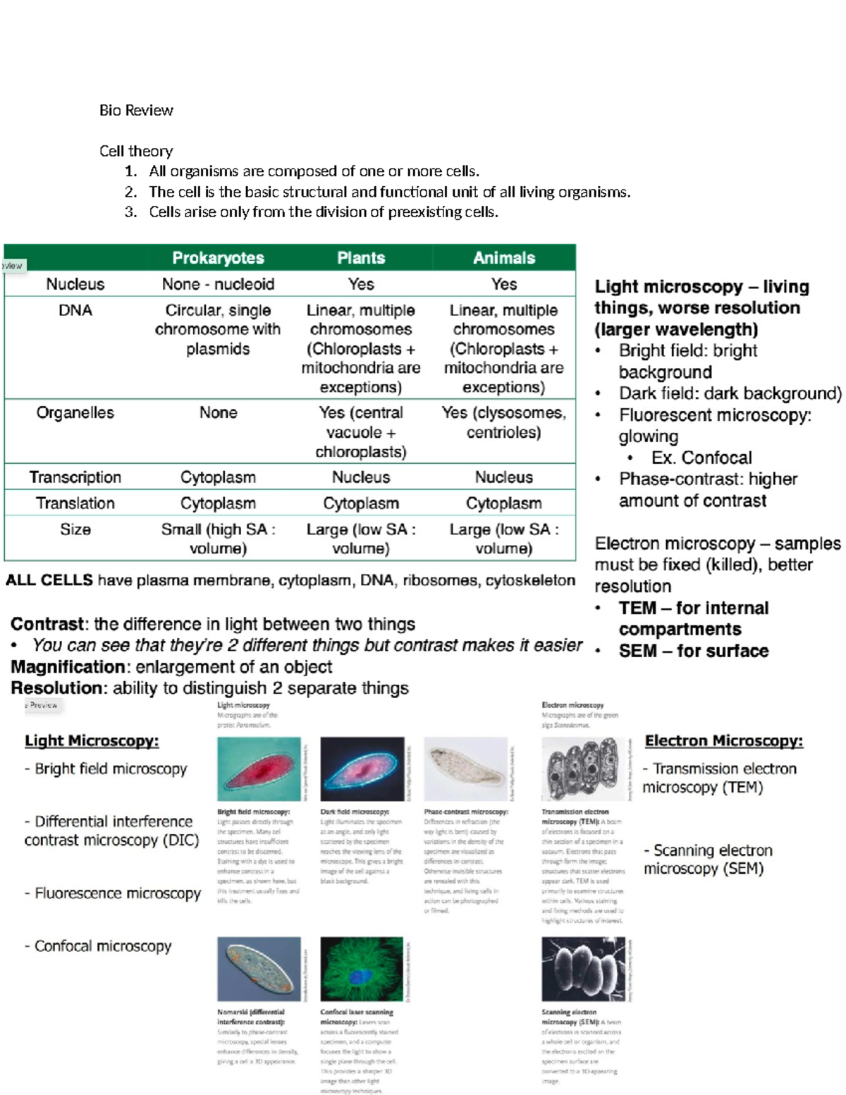 Bio Review - Course Summary Final Material - Bio Review Cell theory 1 ...