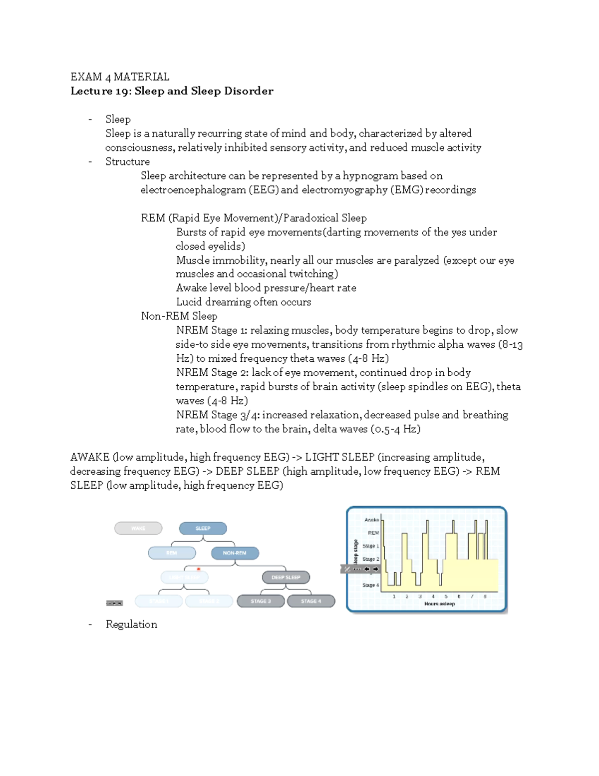 EXAM 4 Material - assessment - EXAM 4 MATERIAL Lecture 19: Sleep and ...