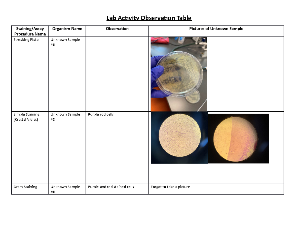 Lab Activity Observation Table - Lab Activity Observation Table ...