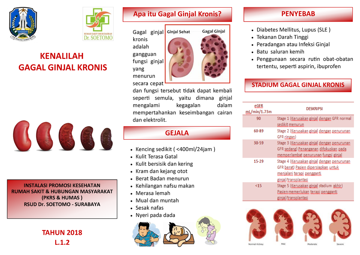 Leaflet Kolaborasi Gagal Ginjal Kronis - Gagal ginjal kronis adalah ...