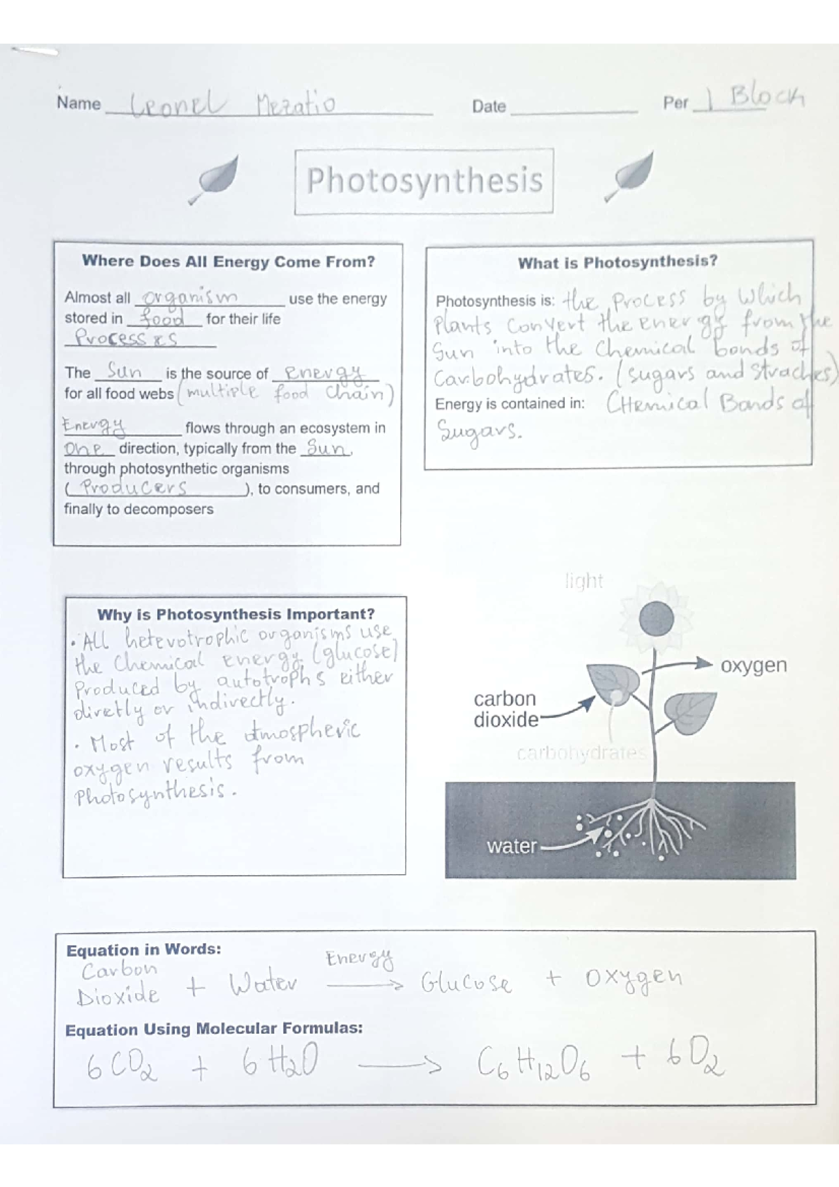 BIO 280 - Photosynthesis Notes Part 1 - LOY! vL ne al 0 Name v L 3 os ...