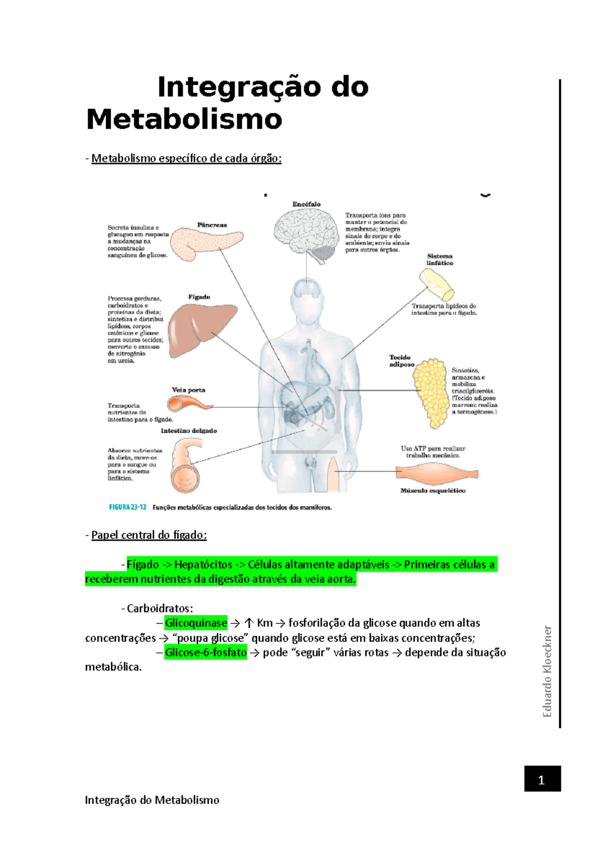 Integração do Metabolismo - Integração do Metabolismo - Metabolismo ...