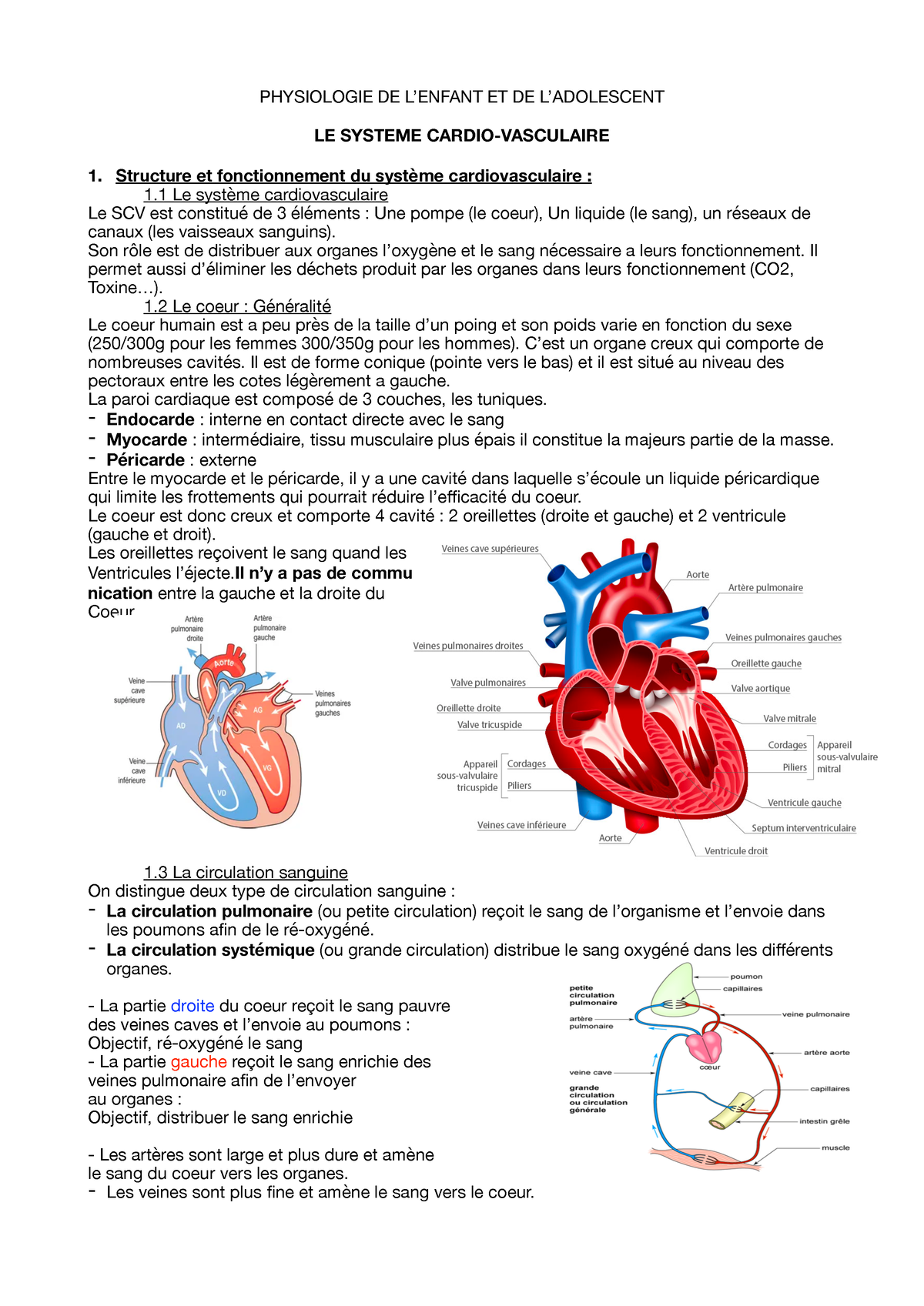 Le Système Cardio Vasculaire PHYSIOLOGIE L1 STAPS PHYSIOLOGIE DE L