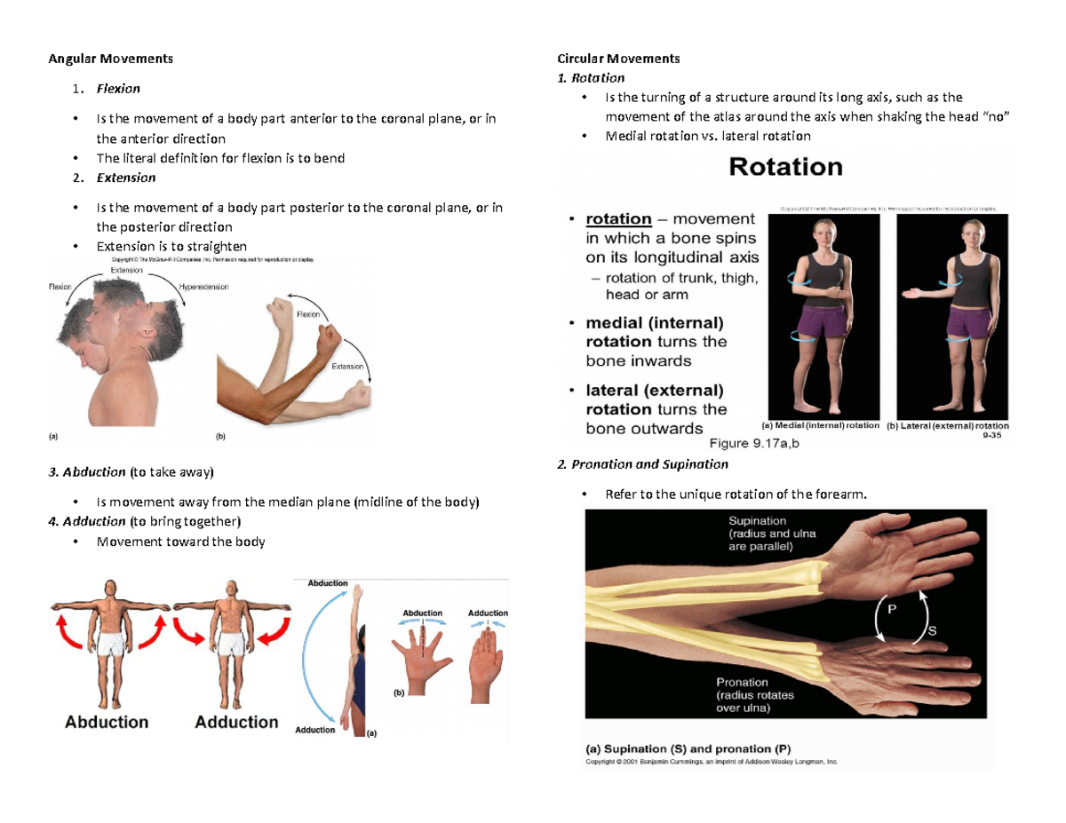 Angular Movements - Angular Movements Flexion Is the movement of a body ...